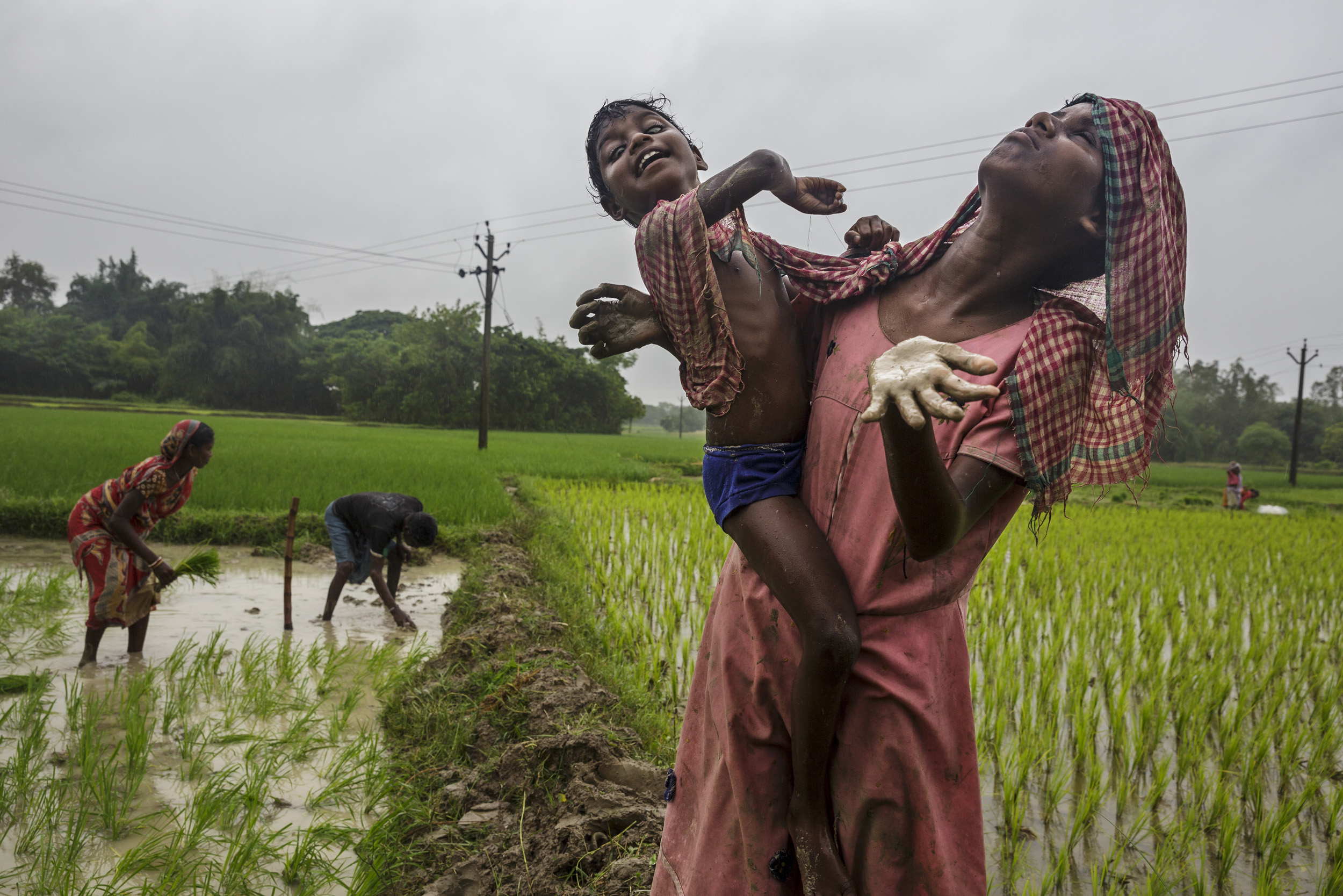 WEST BENGAL, INDIA 21 OCTOBER 2013: Blind girls Sonia, 12, and Anita Singh, 5, accompany their parents during a rainstorm while they work in the fields of their rural Indian village. Both sisters are born into poverty with congenital cataract blindn