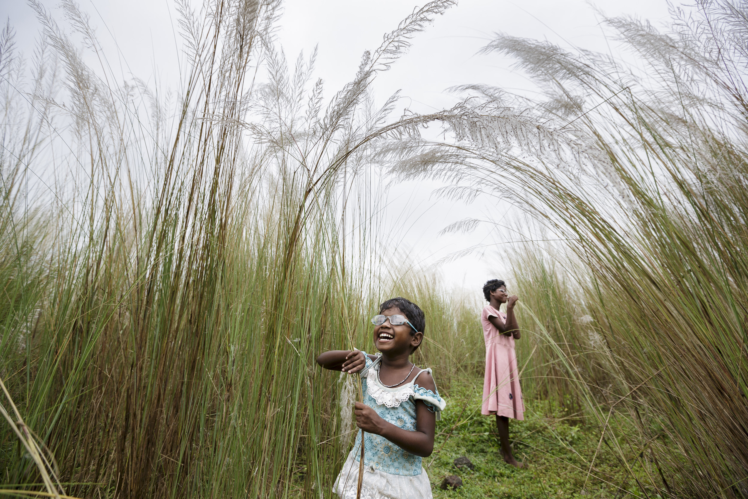 WEST BENGAL, INDIA 28 OCTOBER 2013: Anita and Sonia Singh explore the beginning of sight as they walk through bullrushes close to their village after undergoing eye surgery. Both Anita, 5, and her older sister Sonia, 12, are born into poverty with c