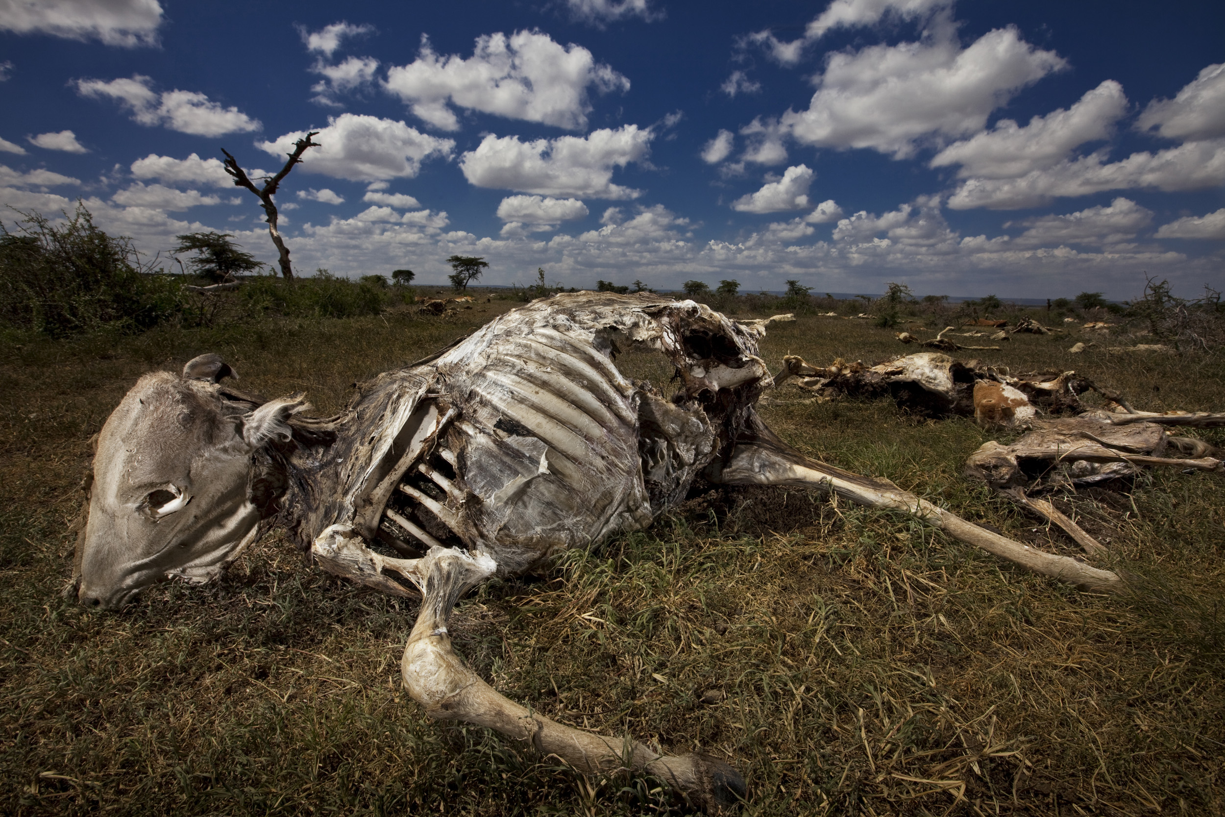 RIFT VALLEY PROVINCE, KENYA, NOVEMBER 2009: Images of a massacre site where the Pokot tribesman came out of the Rift Valley, their traditional area, and attacked a Samburu village over cattle grazing rights in the north of Kenya at a time of the wor