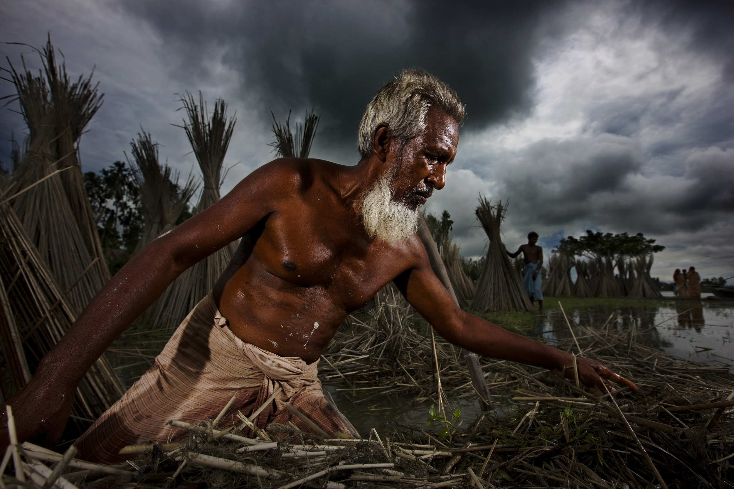 GAIBANDAH, BANGLADESH-AUGUST 2008: Vulnerable farmers on flood damaged islands work to clear rice fields damaged by annual floods which destroy crops and homes amongst the poor on a yearly basis, Gaibandah, Bangladesh, 2 August 2008. Bangladesh is o
