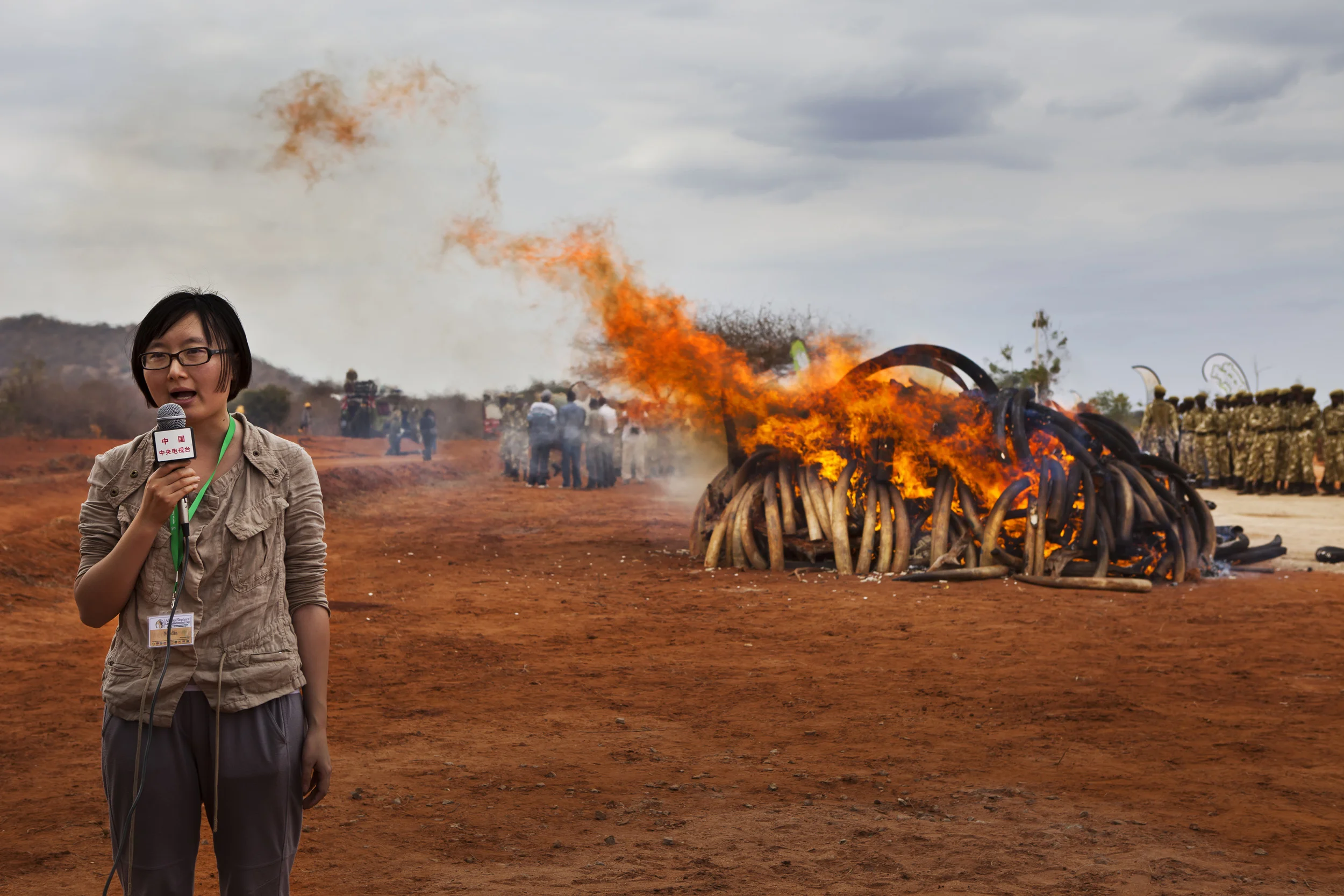 MANYANI, TSAVO, KENYA, JULY 2011: The burning of 5 tons of trafficked Ivory recovered from a seizure in Singapore in 2002, Manyani, Tsavo, Kenya, 20 July 2011. The ivory burnt here was originally from Malawi and Zambia, 5 tons of the original 6.4 tons were burnt and the remainder will supposedly be sent back to the 2 countries of origin, Malawi and Zambia. It was burnt in Kenya under the auspices of the LATF, the Lusaka Task Force, a group of affiliated countries who are supposed to form a common front against wildlife crime in Africa. The ivory burning is regarded with some cynicism from conservation quarters, no Kenyan ivory was added to the pyre, despite stocks in excess of 65 tons and their appropriation of the PR value of this event. The Kenyans response is to say that the disposal of public assets is a parlimentary affair, with due process of the law. The minimum time it would take for this is 3 months, more than enough time for Kenya to have participated if it so chose. Wildlife crime in Kenya still remains a perceived minor crime, with a maximum fine of only $430 for the killing of an elephant for its tusks. In conservation circles this illustrates a lack of comittment on the part of the KWS to truly stamp out the illegal ivory trade within Kenya. The overwhelming perception is that KWS appropriated this event, with minimum participation from the other LATF countries, and no credit was given to the Environmental Impact Agency despite the fact that it was their intelligence operation which resulted in the seizure in the first place. KWS also attempted to charge all foreign media a fee of $700 to attend the burn, despite them being invited guests to the burning and an indispensable source of publicity for Kenya's supposed anti-ivory trade stance. (Photo by Brent Stirton/Reportage for National Geographic.)