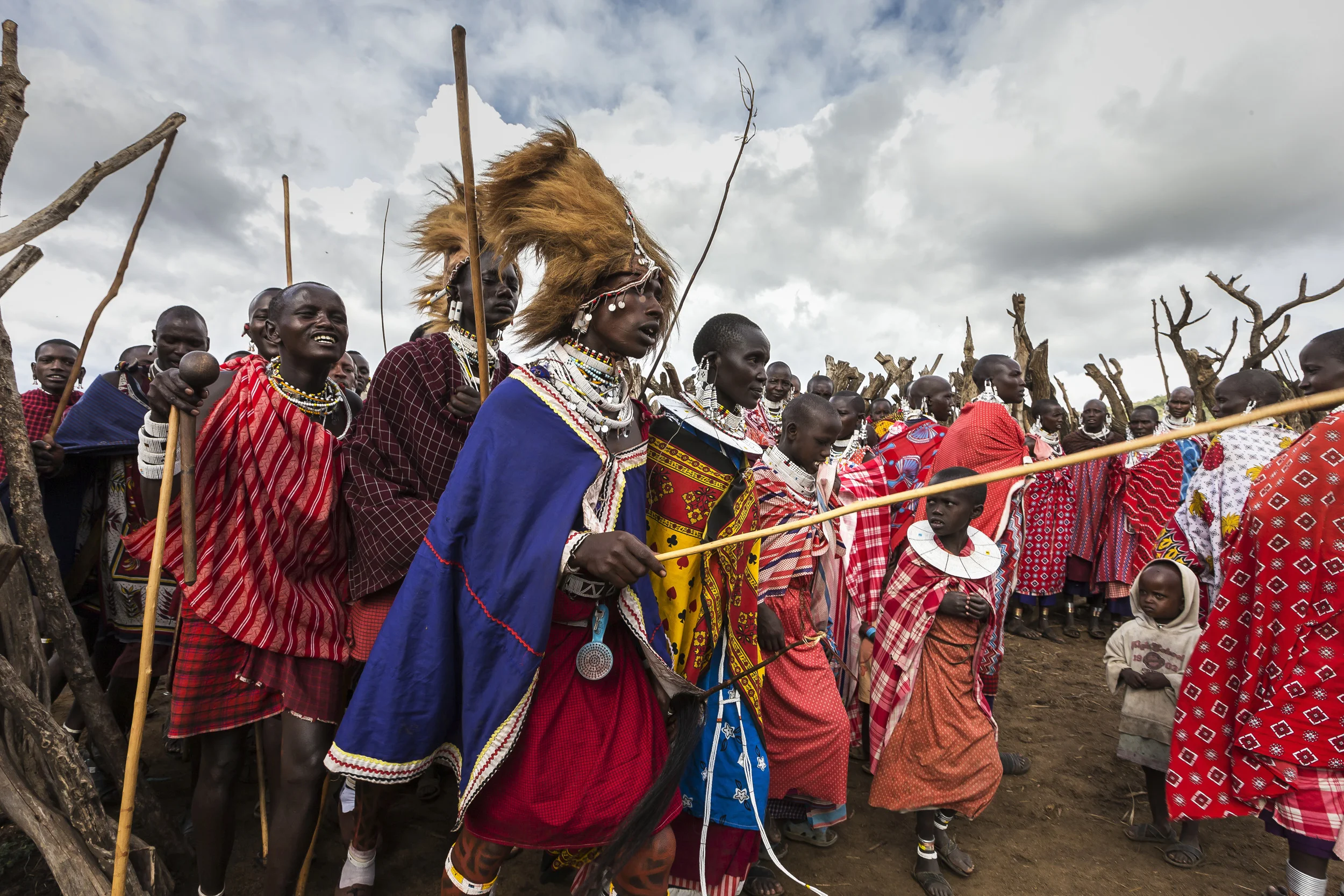 LOLIONDO, NORTHERN TANZANIA, NOVEMBER 2012: Images from a Masai coming –of-age ceremony in a remote Masai village in Loliondo, Northern Tanzania, 2 November 2012. Two of the young warriors in this ceremony are wearing a Lion Mane head-dress from a lion they speared 3 years ago. The Masai have a long history of lion-killing, both as a proving ground for young warriors in their ascent to manhood and also to protect their cattle from lion attacks. This is an illegal activity and 3 years ago a number of young warriors were arrested and jailed for this offence. Illegal lion killing continues amongst the Masai today, but as lion numbers dwindle, this activity is also increasingly rare to find. Conflict between the pastoralist Masai and the lion is an age-old phenomenon. (Photo by Brent Stirton/Reportage for National Geographic Magazine.)