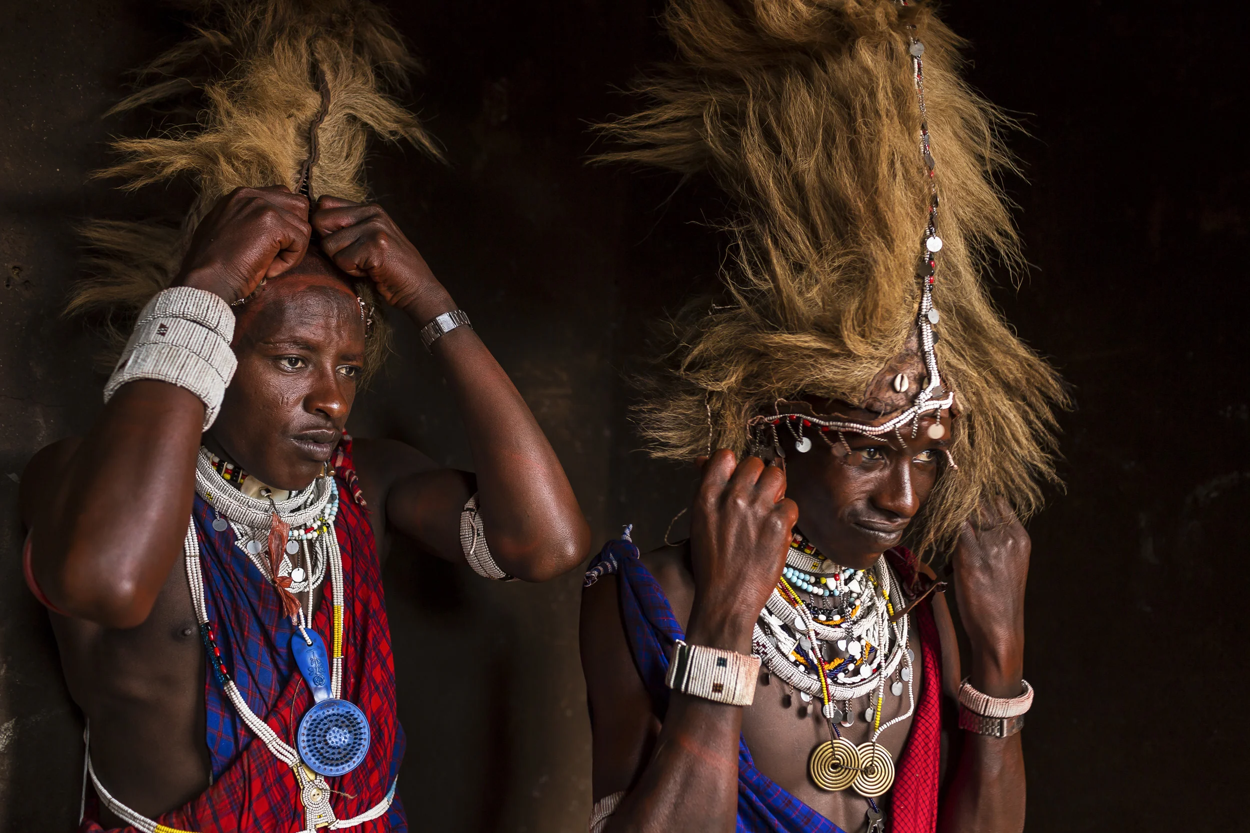 LOLIONDO, NORTHERN TANZANIA, NOVEMBER 2012: Images from a Masai coming –of-age ceremony in a remote Masai village in Loliondo, Northern Tanzania, 2 November 2012. Two of the young warriors in this ceremony are wearing a Lion Mane head-dress from a lion they speared 3 years ago. The Masai have a long history of lion-killing, both as a proving ground for young warriors in their ascent to manhood and also to protect their cattle from lion attacks. This is an illegal activity and 3 years ago a number of young warriors were arrested and jailed for this offence. Illegal lion killing continues amongst the Masai today, but as lion numbers dwindle, this activity is also increasingly rare to find. Conflict between the pastoralist Masai and the lion is an age-old phenomenon. (Photo by Brent Stirton/Reportage for National Geographic Magazine.)