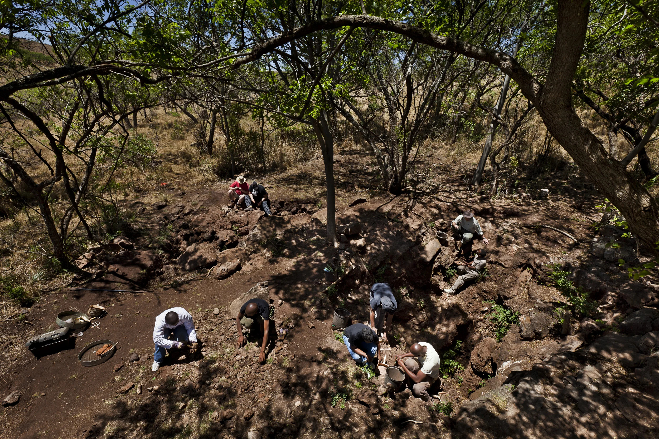 CRADLE OF HUMNAKIND, JOHANNESBURG, SOUTH AFRICA, OCTOBER 2010: Professor Lee Berger of Wits University Paleontology Department work with his excavations staff at the Malapa Fossil site on the Malapa Nature Reserve in the Cradle of Humankind, Johannesburg, South Africa, October 25 2010. Australophithicus Sediba was found at the Malapa site 18 months ago and has gone one to become perhaps the most important early hominid find in history. A juvenile male is emerging largely intact as well as an adult female and it appears there are at least 4 other skeletons at the site. This is the largest find of its kind in history and may rewrite the books on how we view early relations to humankind. (Photo by Brent Stirton/National Geographic.)
