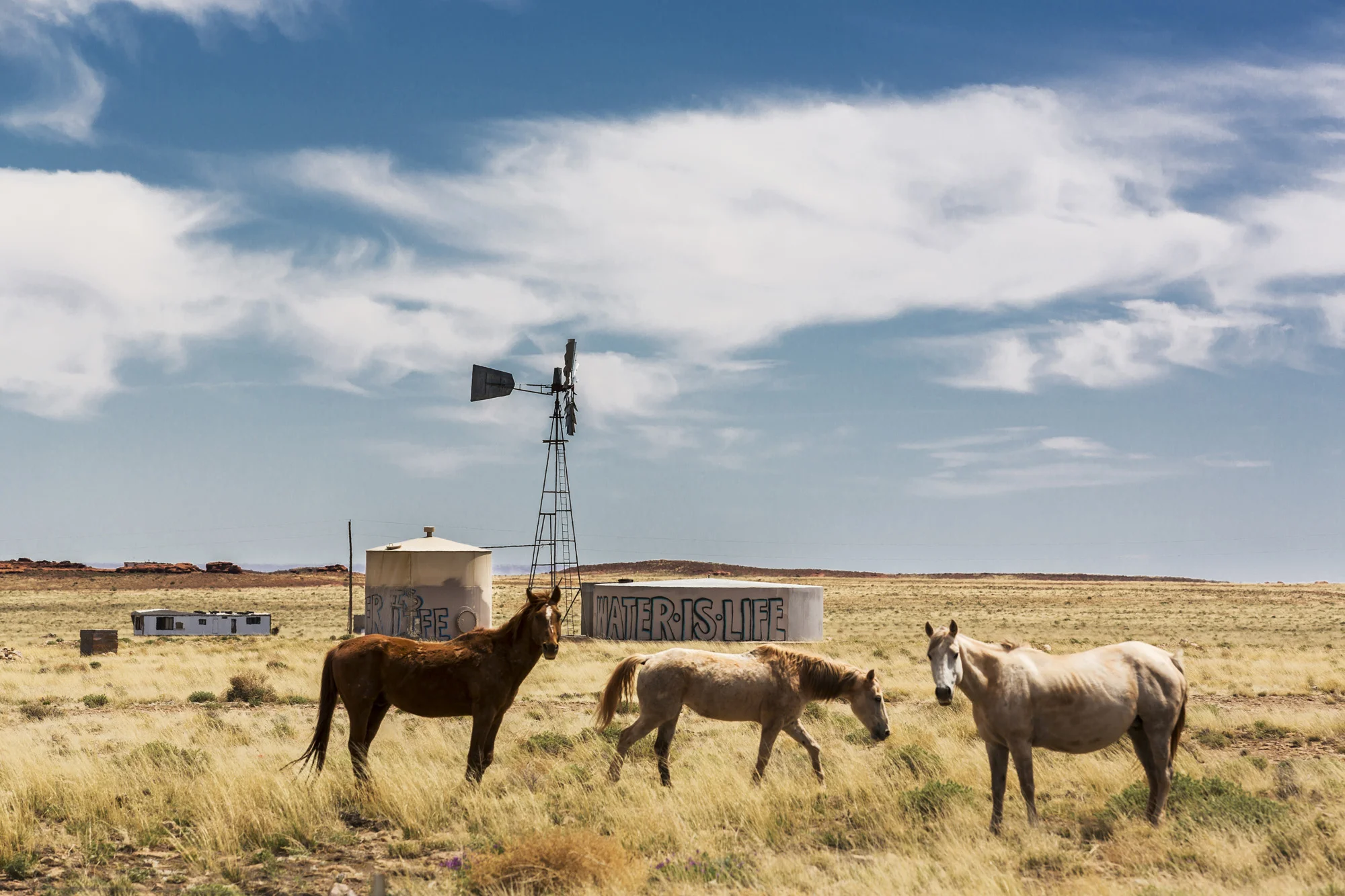TUBA CITY, ARIZONA, 10 APRIL 2014: Wild horses pass by a water tank with the slogan "Water is Life" along its walls. This slogan appears on many water tanks across the Navajo reservation where last years severe drought saw controversial round ups of horses all over the Navajo Nation. This was seen by the Navajo Council as a humanitarian move but was regarded with anger by many who lost their horses, an intergral and age old part of Navajo culture. (Photo by Brent Stirton/Reportage for Le Figaro.)