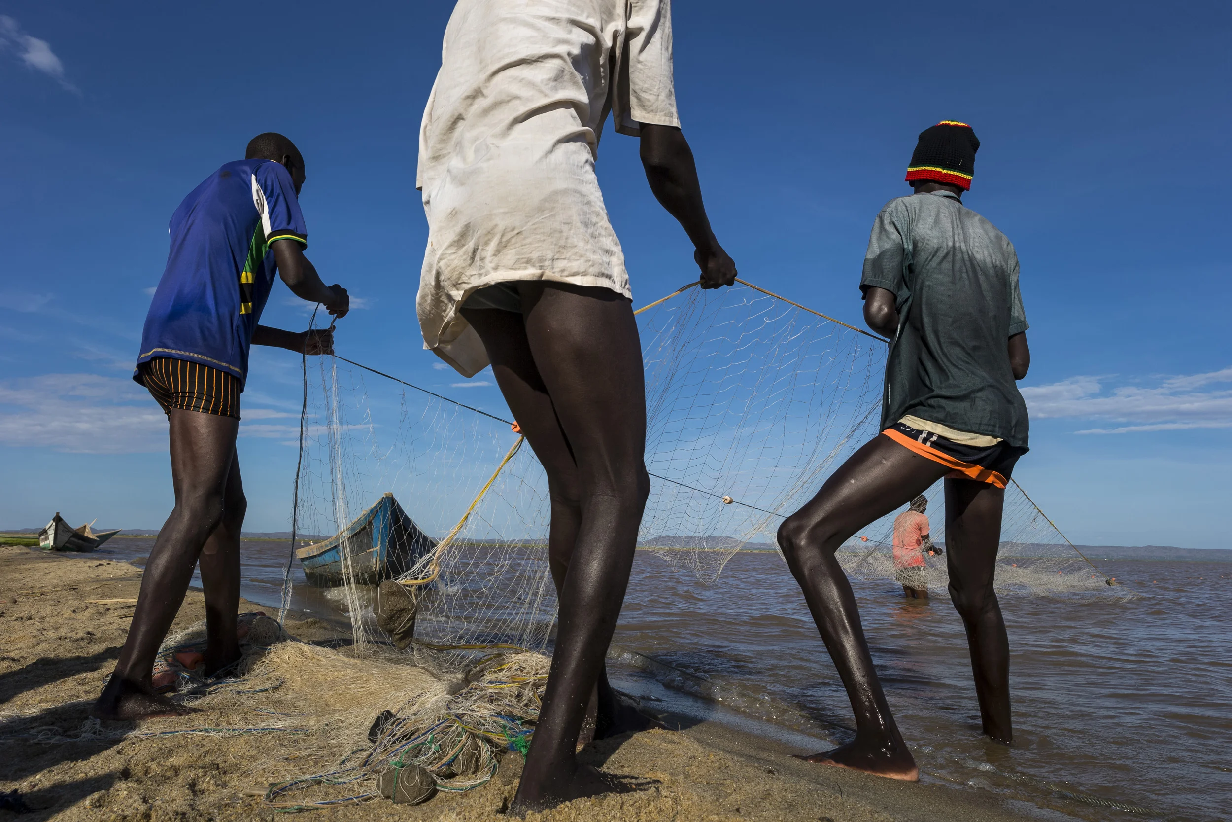 TURKANA, KENYA, 8 OCTOBER 2014: Scenes from Longetch fishing village on the shores of Lake Turkana, Kenya, the world's largest inland desert lake. This region of the lake is a well know spawning ground and at the heart of fishing commerce for the Turkana. These villagers along with many thousands along the shores of this vast body of water are soley dependent on the lake for their survival. The Turkana are traditionally pastoralists but persistent droughts have decimated their herds to such an extent that for many Turkana fishing is now their main means of subsistence and commerce. The same pattern is emerging for other tribes along the lake shore. Recent dam building in Ethiopia is likely to bring the Omo river to one fifth of its current flow, sugar cane farms along the Omo are already causing tribal movement down to Lake Turkana as pastoralists struggle for grazing and water rights. The Omo river supplies 90% of Lake Turkana's water and these dams and sugar cane farms look likely to severly impact the renewal of the lake's waters. This threatens all the tribes around the lake and makes conflict over diminishing resources ever likely. (Photo by Brent Stirton/Reportage by Getty Images for Human Rights Watch.)