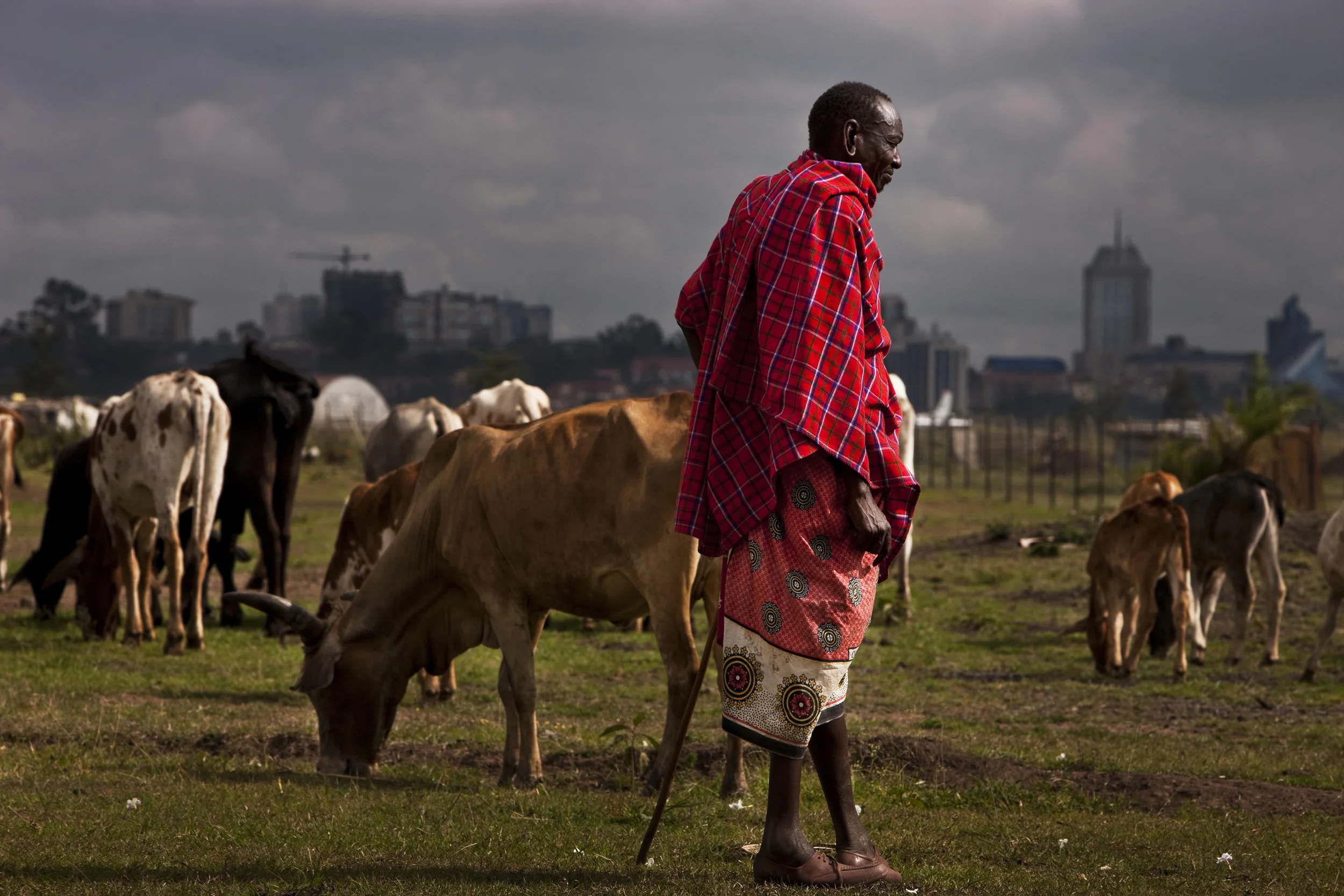 NAIROBI, KENYA, FEBRRUARY 2010: Urban pastoralist Masaai at Wilson Manyatta, close to Wilson airport, who originally moved to Nairobi 20 years ago from Kajiato district for better grazing and rainfall, Nairobi, Kenya, 26 February 2010. These urban Masaai are experiencing ever increasing land pressure as Nairobi becomes a thriving metropolis where land is more and more valuable. Due to their pastoralist nomadic lifestyle, these Masaai have little claim to land unless they fence it and place permanent structures on the land. Even so, government planning, voracious business models for development and no real political representation mean these Masaai are permanently under threat of removal. (Photo by Brent Stirton/Reportage by Getty Images.)