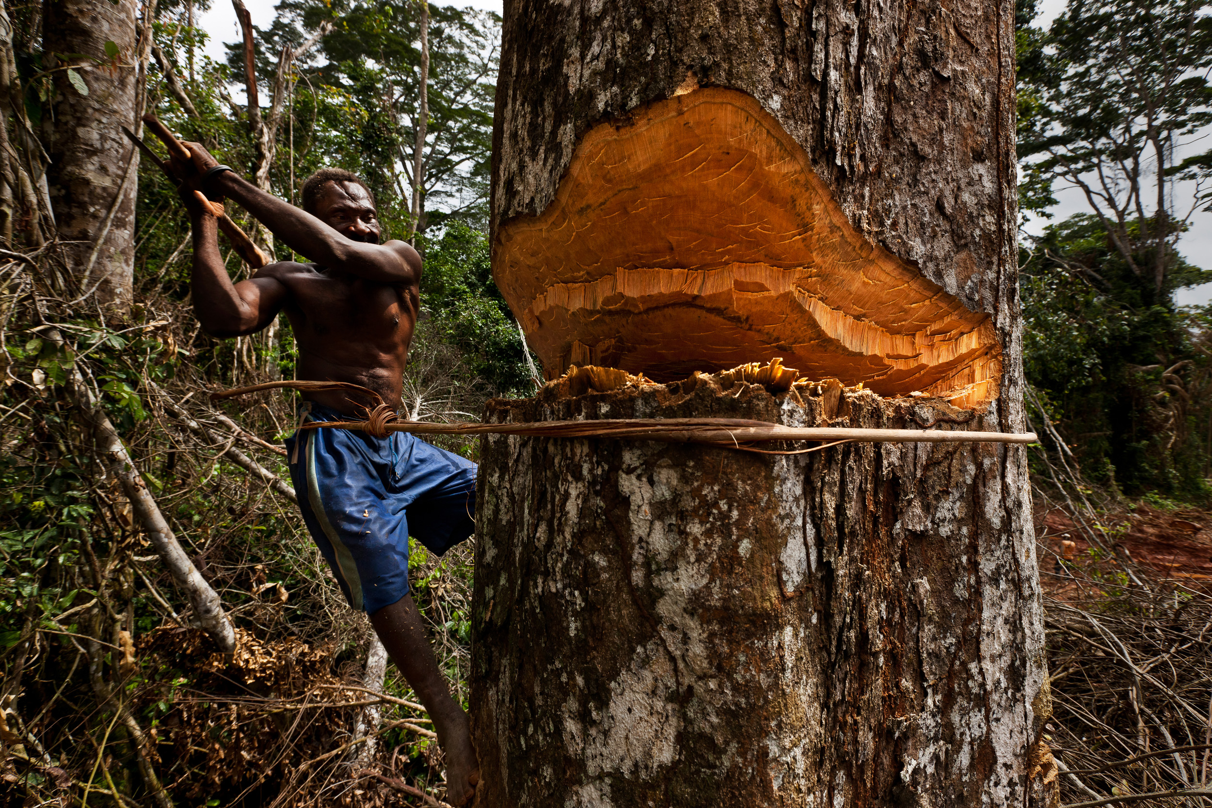 KIKA, CAMEROON, JULY 2010: Members of the Baka Pygmy tribe, the original forest dwellers of the Cameroon forests, Kika, Cameroon, June 9, 2010. The Baka have small logging concessions of their own in community forest areas but are plaughed by a lack