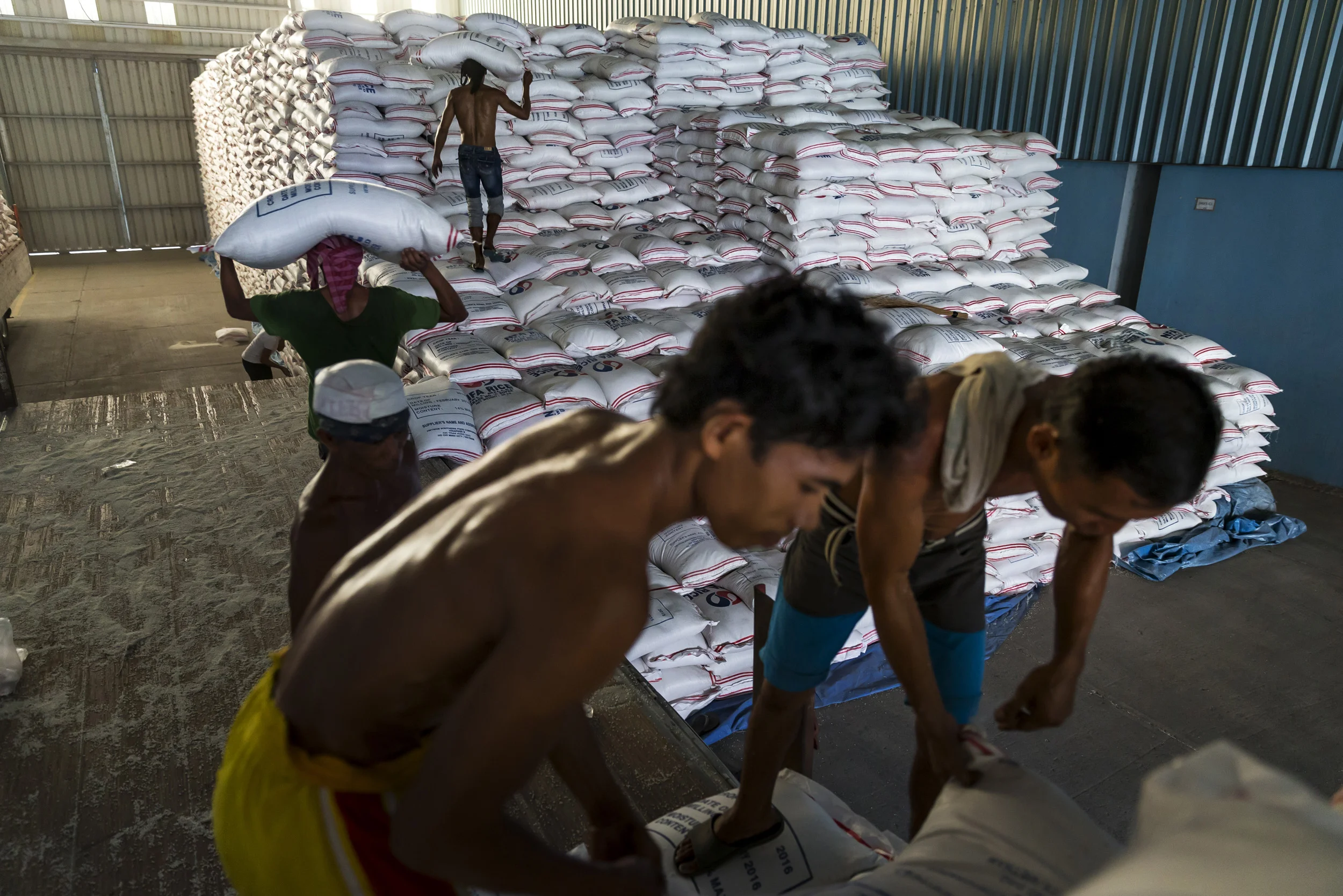 DAVAO, PHILIPPINES, 10 AUGUST 2016: Workers unload rice imported from Vietnam into a warehouse on the docks in Davao, Philippines. The Philippines used to produce more rice than any other country in the region but today finds itself importing to make up demand. This is due to increased demand, rising wealth, crop destruction by the weather and other factors. (Photo by Brent Stirton/Reportage by Getty Images for Crop Trust.)