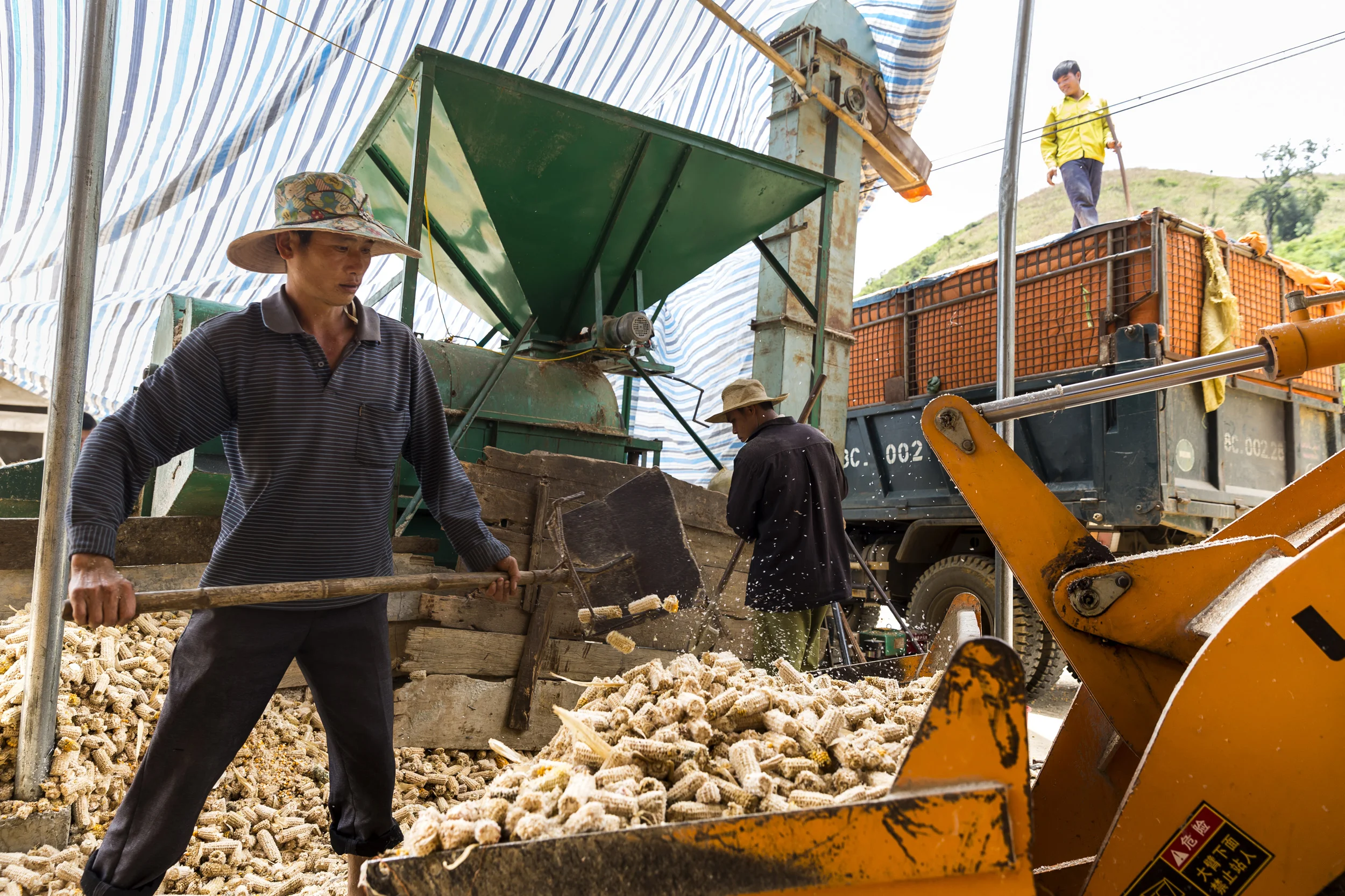 SON LA, VIETNAM, 18 AUGUST 2016: Early harvest corn drying in the sun and at facilities for processsing, the majority of this corn will go towards animal feed, a leading commercial crop for Vietnamese farmers. Most of these farmers will eat rice, using the proceeds from corn to purchase it. (Photo by Brent Stirton/Reportage by Getty Images.)