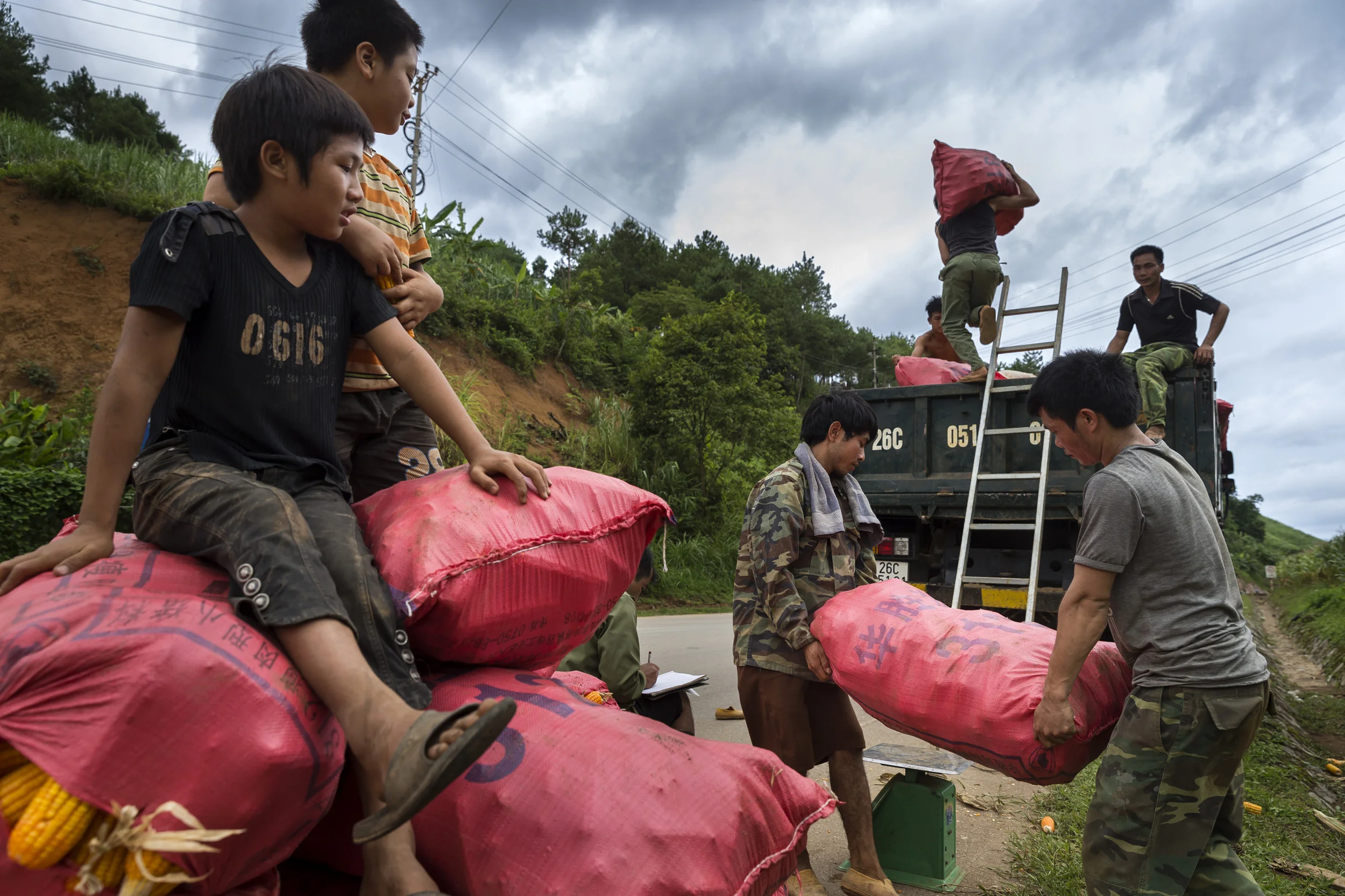 SON LA, VIETNAM, 18 AUGUST 2016: Images of Thai minority people in Vietnam harvesting corn and preparing it for transport. In these farming valleys rice, cassava and corn are all grown simultaneously, the majority of this corn will go towards animal feed, a leading commercial crop for Vietnamese farmers, most of the cassava will go for industrial purposes and and animal feed, the rice is most often for personal consumption. (Photo by Brent Stirton/Reportage by Getty Images.)