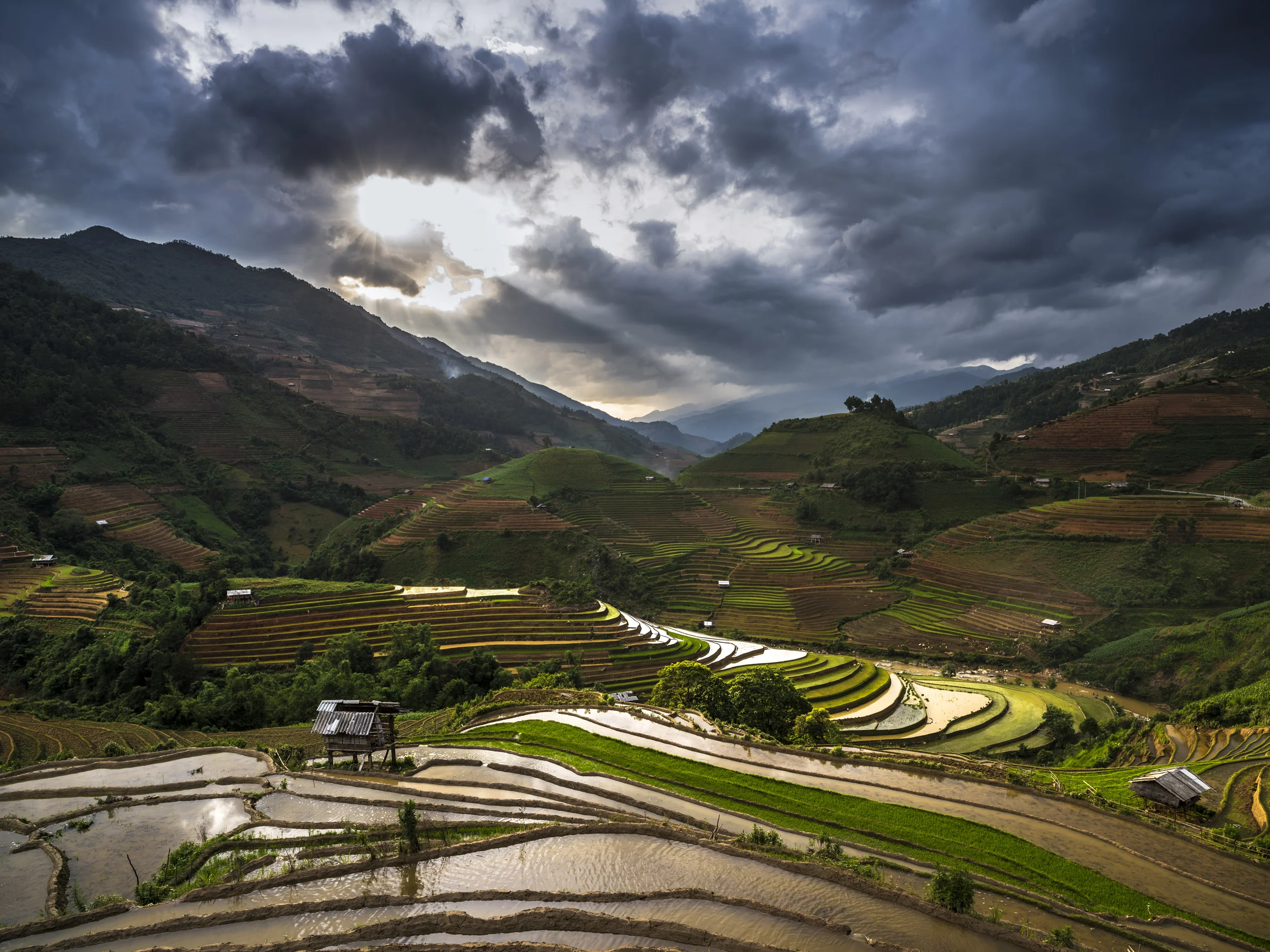 MU CANG CHAI, YEN BAI, VIETNAM, 6 JUNE 2015: A view over a landscape of beautiful shapes showcases the rice paddies that Mu Cang Chai is famous for. Rice is the staple crop in a community where people earn on average less than one dollar a day. (Photo by Brent Stirton/Getty Images)