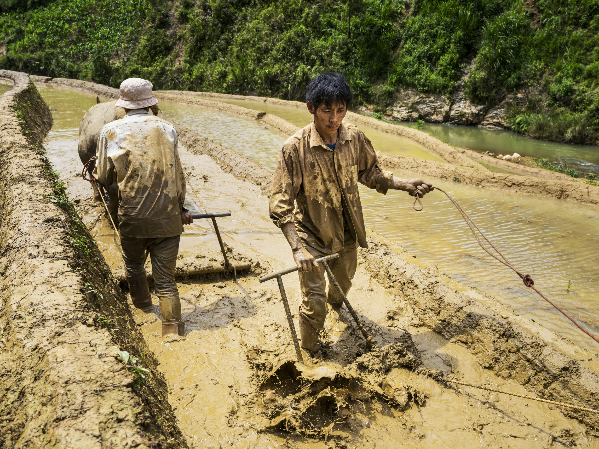 MU CANG CHAI, YEN BAI, VIETNAM, 5 JUNE 2015: local people prepare the rice paddies Mu Cang Chai is famous for. (Photo by Brent Stirton/Getty Images)