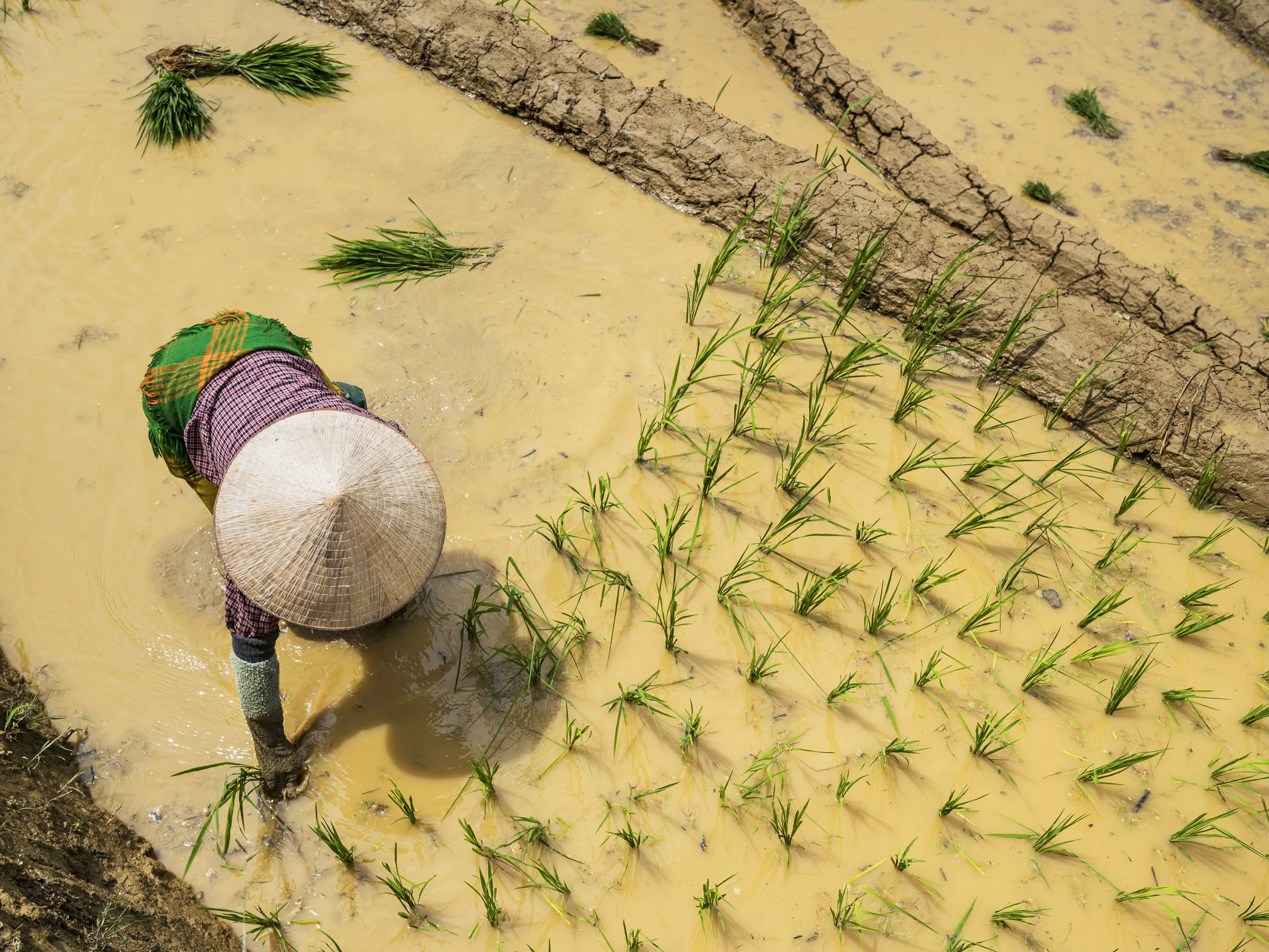 MU CANG CHAI, YEN BAI, VIETNAM, 5 JUNE 2015: Local people prepare the rice paddies Mu Cang Chai is famous for. (Photo by Brent Stirton/Getty Images)