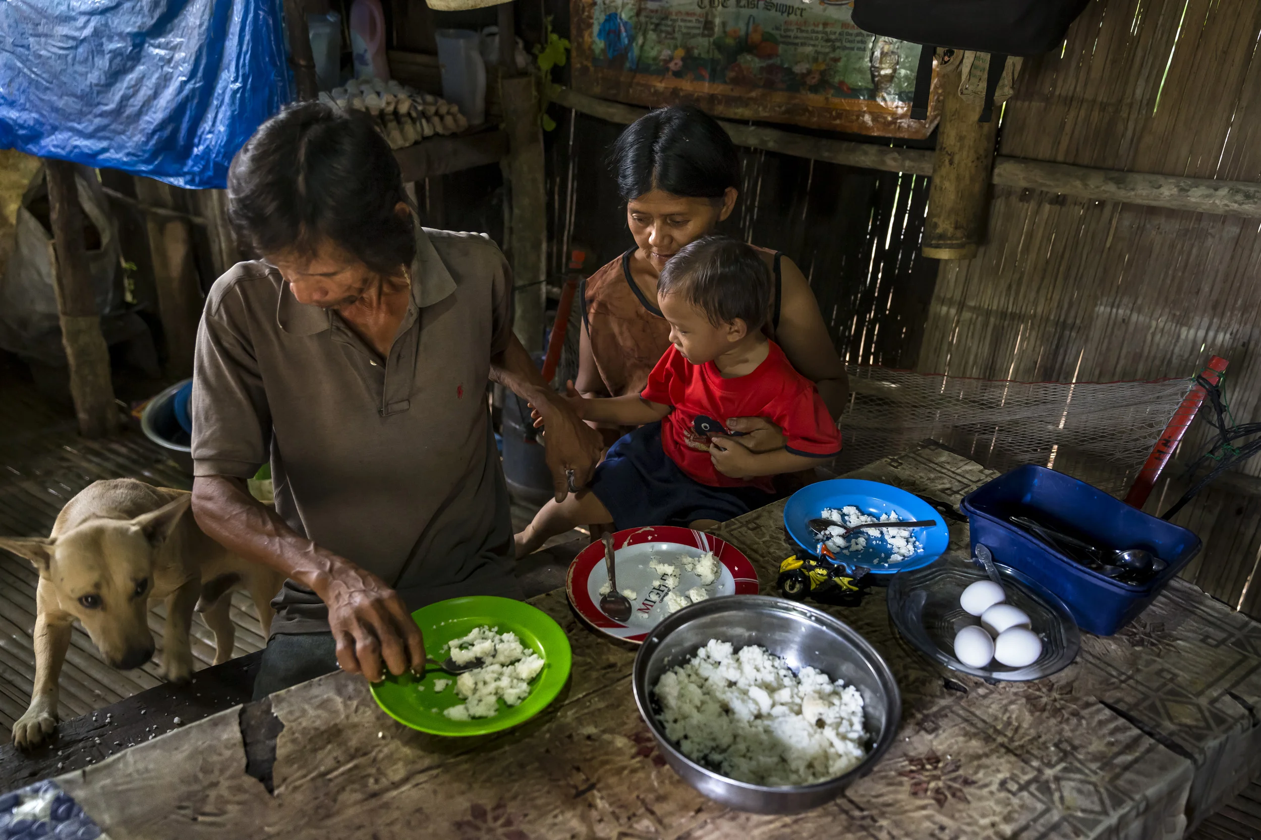 PUEBLO ANTONIA, DAVAO, PHILIPPINES, 10 AUGUST 2016: Maize farmer Juan Dajao, 59, and his wife Maria eat with their son a meal of milled corn in the district of Gawad Kalinga. They use corn cobs to fuel their cooking fire. 54 farmers grow maize in this area over 30 hectares. It is a traditional crop in Davoa, its origins lying in trade between Spain and the Philippines going back centuries. The crop is resiliant, organic and does not require much maintenance or pesticide use. Corn in the Philippines has traditionally been associated with the poor and is more affordable than rice. It has a lower glycemic index and is a higher source of energy. Rice may be more expensive but it is not as good for you. High blood sugar is often linked to the consumption of white rice. If managed correctly, corn could address the need for the Philippines to import rice to feed its people. In the Philippines it is most often consumed once milled and looks very similar to rice on the plate. (Photo by Brent Stirton/Reportage by Getty Images for Crop Trust.)