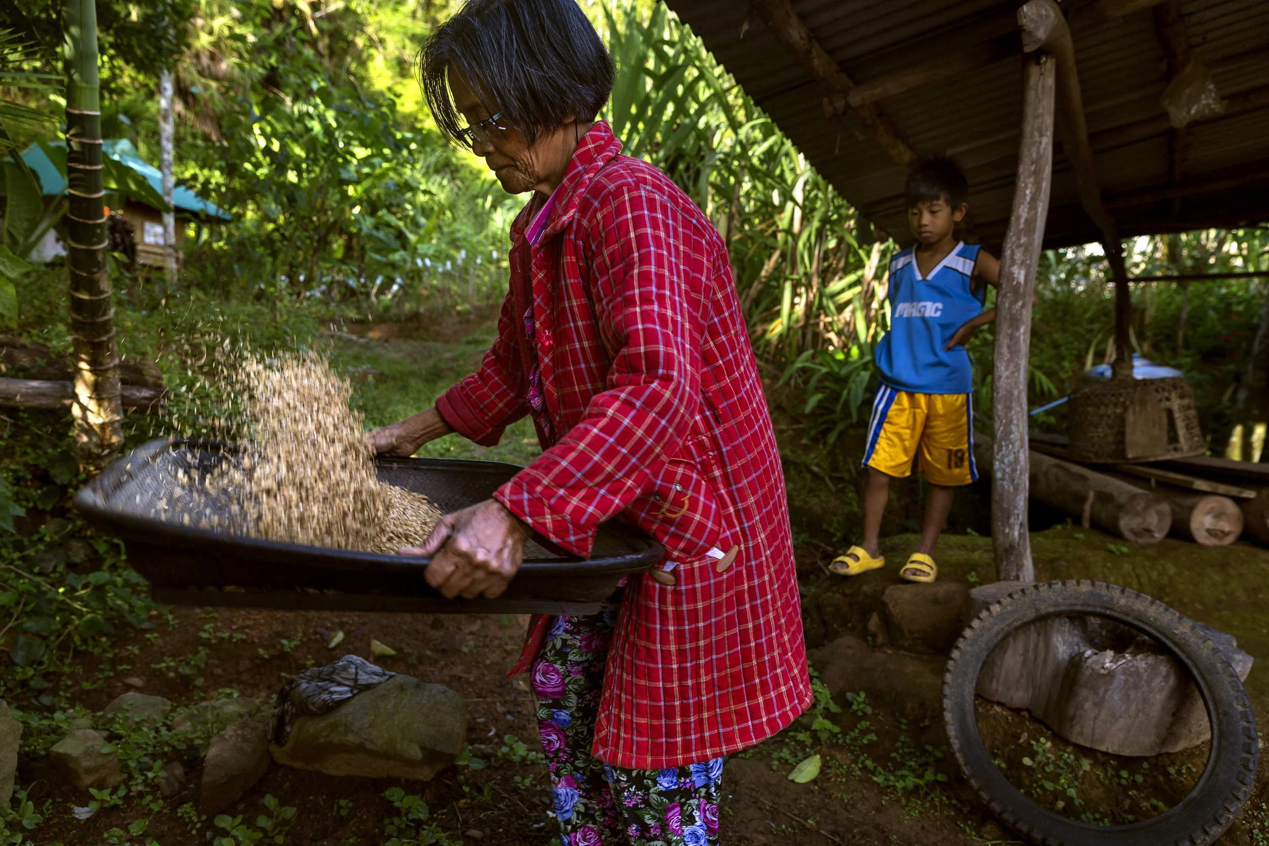 Banaue, Ifugao, Philippines, 8 August 2016: Ana Dulnuan-Habbiling is an Ifugaon leader with extensive knowledge of the Rice world in the area where she lives in the highlands of the Philippines. There is a long-standing tradition of rice growing in this area, something Ana speaks of as a tribute to the memory of her ancestors. She is seen with her family rice stocks, cleaning and preparing rice, cooking it and serving it to her family. She is also seen as she begins to clear her ceremonial rice paddy, something that will be seen by the other villagers as a sign that they too must begin to ready their paddies for planting. The rice they plant is known as aromatic and glutenous rice, a small group of rice strains they try to preserve and protect. Ana visited the International Rice Research Institute in Manila a few years ago where she was able to find a strain of rice her ancestors grew and which had been lost to her community, she now grows that rice again and is grateful to IRRI for the chance, in her words, to honor her ancestors. (Photo by Brent Stirton/Reportage by Getty Images for Crop Trust)