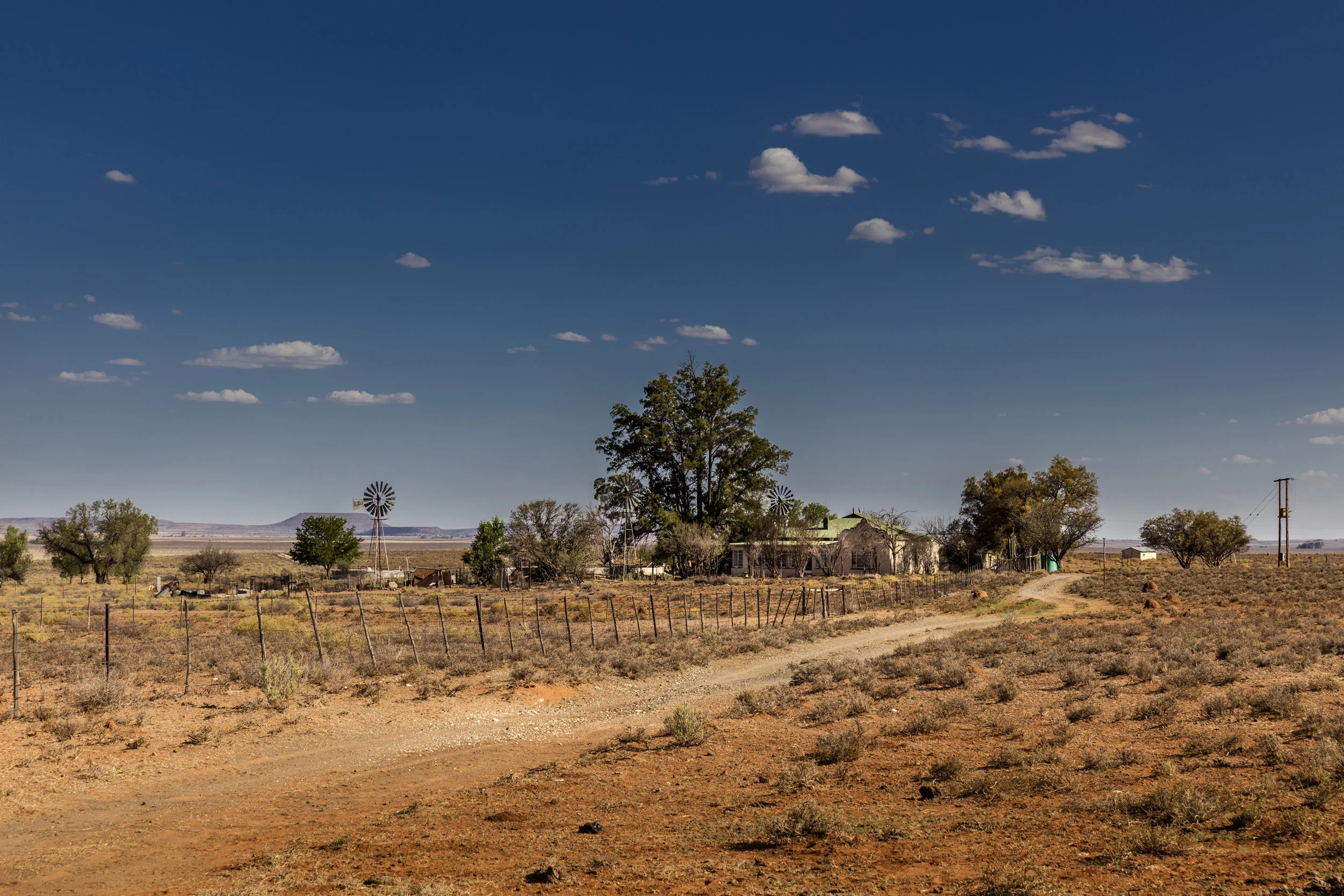 farms_017.jpg