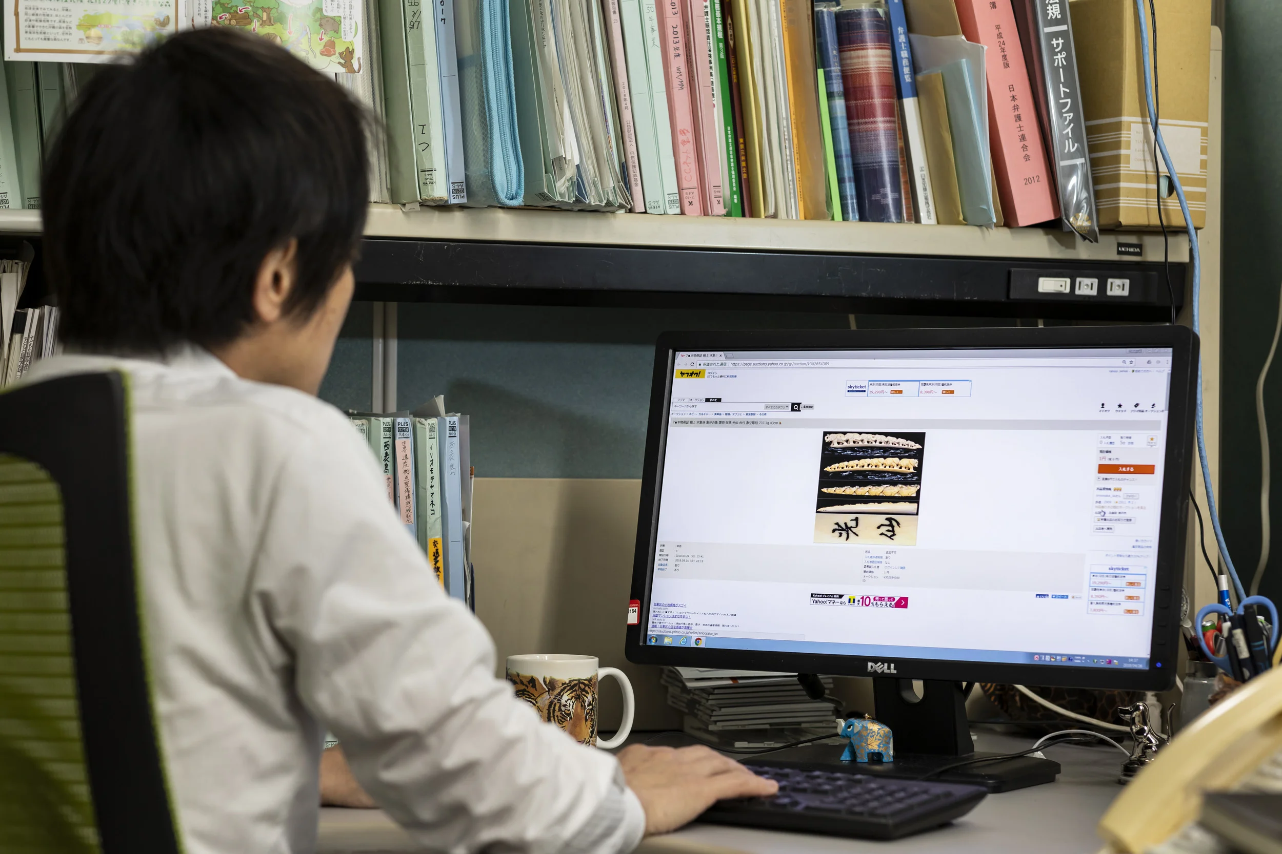 Tokyo, Japan, April 20th 2018: Illegal ivory for sale on Yahoo Japan’s retail site. Yahoo have refused to shut down this sales site despite repeated evidence of illegal ivory sales. In this image, a whole carved tusk is displayed. Japanese law clearly states that if the tip of the tusk is present and the overall length is over 20cm, then it has to be registered. There is no certificate of registration for this tusk on the sales page, despite the length being 43cm and the tip being clearly present. This is apparently common practise in Japan on online retails sites.Customs searches for ivory have also been deprioritized as ports are deemed too busy to worry about it and it may interfere in commerce. (Photo by Brent Stirton/Verbatim for Getty Images.)