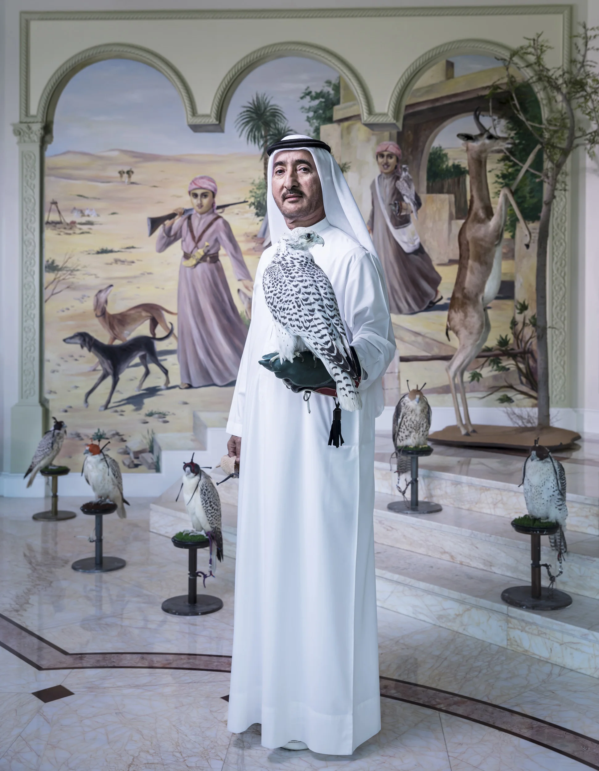 DUBAI, UAE, SEPTEMBER 24, 2017: Sheikh Butti Maktoum Bin Juma, a senior member of the Dubai Royal family, is seen inside the foyer of his home in Dubai. He is holding his favourite Gyr Falcon and is surrounded by other high end falcons that were bred especially for him. The mural behind him depicts his sons Rashid and Maktoum in the desert with falcons. Sheikh Butti is the first UAE falconer and likely the first Arab to ever train and hunt with a captive bred bird, a Gyr falcon that became famous across the region twenty years ago. He altered perception about what was possible with captive breeding and the performance of his falcons helped to win the argument for the superiority of captive-bred hybrids and purebred falcons. There has been a careful refining of genetics by master breeders like Howard Waller who have created a whole new class of falcons that have become the birds of choice in the Emirates. They are housed in special air-conditioned facilities where they can resist the high temperatures of the desert. Most training for hunts and racing is done in the very early morning, when temperatures are low and the birds won’t suffer heat exhaustion. The birds travel in air-conditioned vehicles with special perches to and from the training grounds. The higher echelons of the UAE falconers literally spend millions of dollars on housing, training and caring for their falcons. There are a number of falcon hospitals across the UAE that cater exclusively to the welfare of these birds. Expert international veterinarians staff these hospitals and birds are cared for at the same level as people. Falcons were severely threatened 50 years ago by the advent of chemicals like DDT, the Arab world has been at the forefront of restoring falcon populations and it is the Arab world that is the epicenter for breeding and the largest client for these birds. This resurgence has elevated Falconry to Intangible Heritage status by Unesco. (Photo by Brent Stirton/Verbatim for National