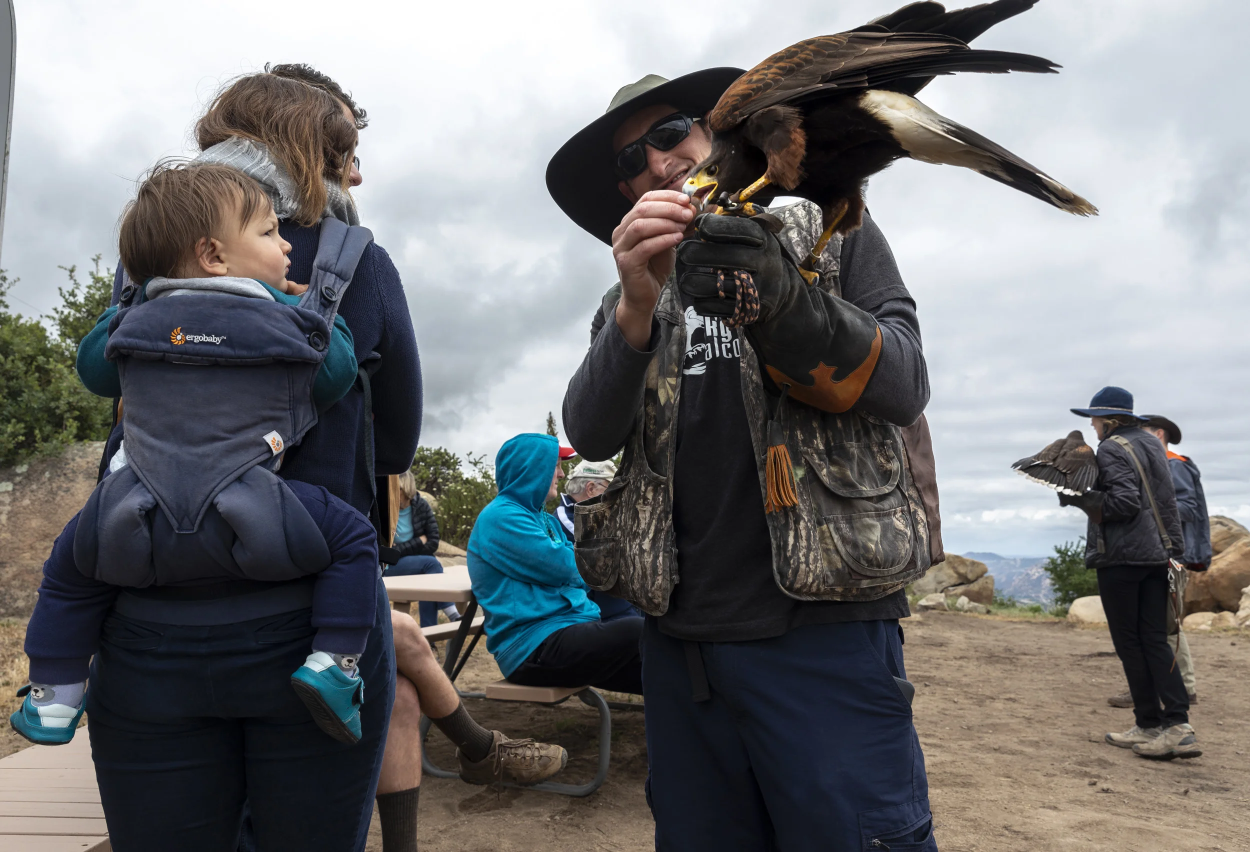 ALPINE, CALIFORNIA, 12 MAY 2018: Visitors to Sky Falconry experience what it is like to work with a bird of prey as they handle a Harris Hawk for the first time. Sky Falconry is one of the few USA Falconry schools licensed to bring this experience to people who are not falconers. Guests go on a hawk walk in the mountains and learn how to use a glove and how to handle the bird when it flies to and from the glove. Falconry is a heavily governed sport in the USA where organizations like the Peregrine Fund have done a great deal to restore raptors in the wild. (Photo by Brent Stirton/Getty Images for National Geographic Magazine.)