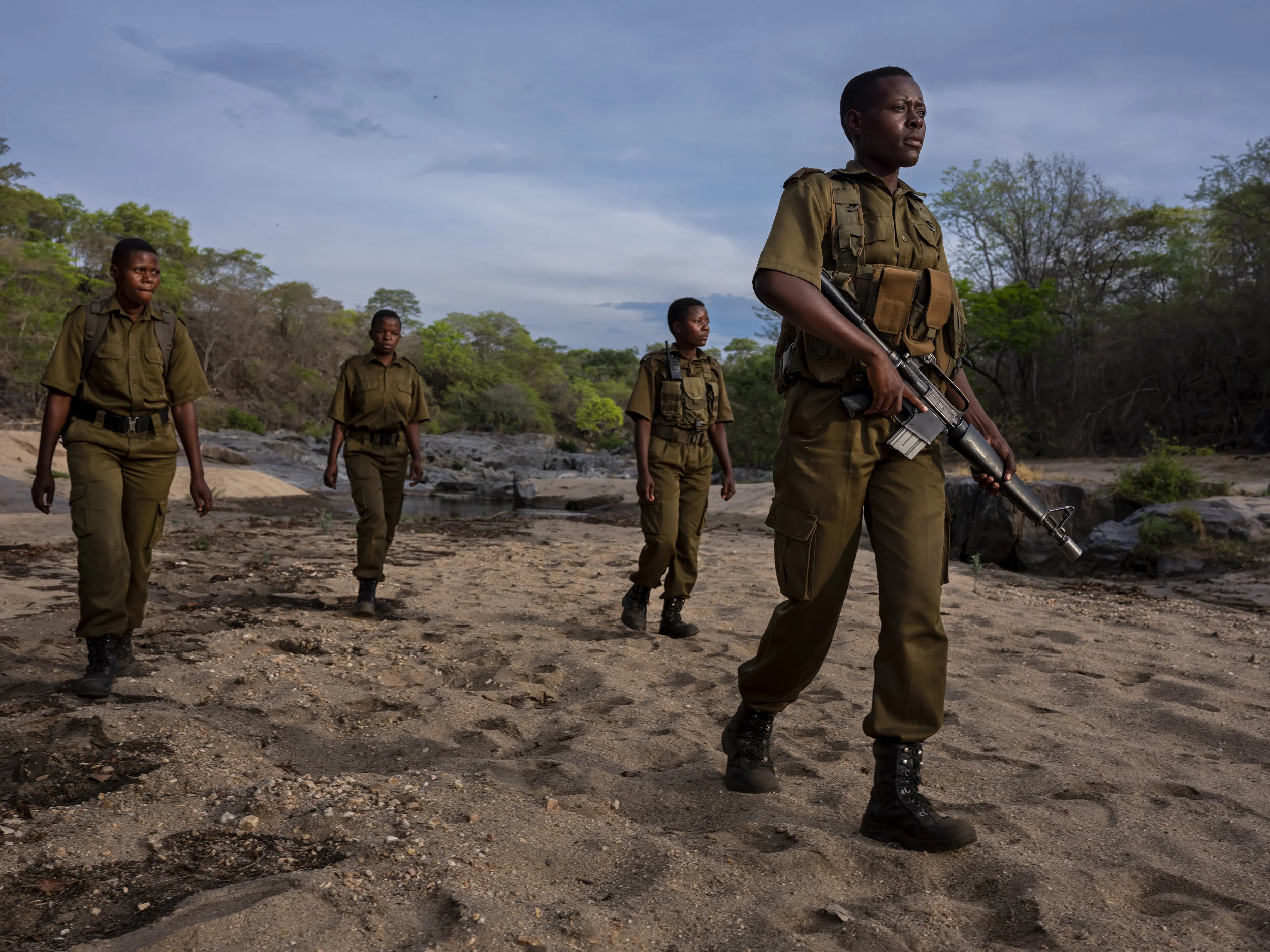 PHUNDUNDU WILDLIFE AREA, ZIMBABWE, DECEMBER 2018: A 5 member patrol walks through the wilderness they protect in Phundundu. This patrol is in the bush for 5 days at a time. They are part of an all female conservation ranger force known as “Akashinga” Akashinga (meaning the ‘Brave Ones’) is a community-driven conservation model, empowering disadvantaged women to restore and manage a network of wilderness areas as an alternative to trophy hunting in Zimbabwe. Predominately male forces are often hampered by ongoing corruption, nepotism, drunkenness, aggressiveness towards local communities and a sense of entitlement. The International Anti-Poaching Foundation, led by former Australian Special Forces soldier Damien Mander, was created as a direct action conservation organization used as a surgical instrument in targeting wildlife crime. In 2017 they decided to innovate, using an all- female team to manage an entire nature reserve in Zimbabwe. The program builds an alternative approach to the militarized paradigm of ‘fortress conservation’ that defends colonial boundaries between nature and humans. While still trained to deal with any situation they may face, the team has a community-driven interpersonal focus, working with rather than against the local population for the long-term benefits of their own communities and nature.