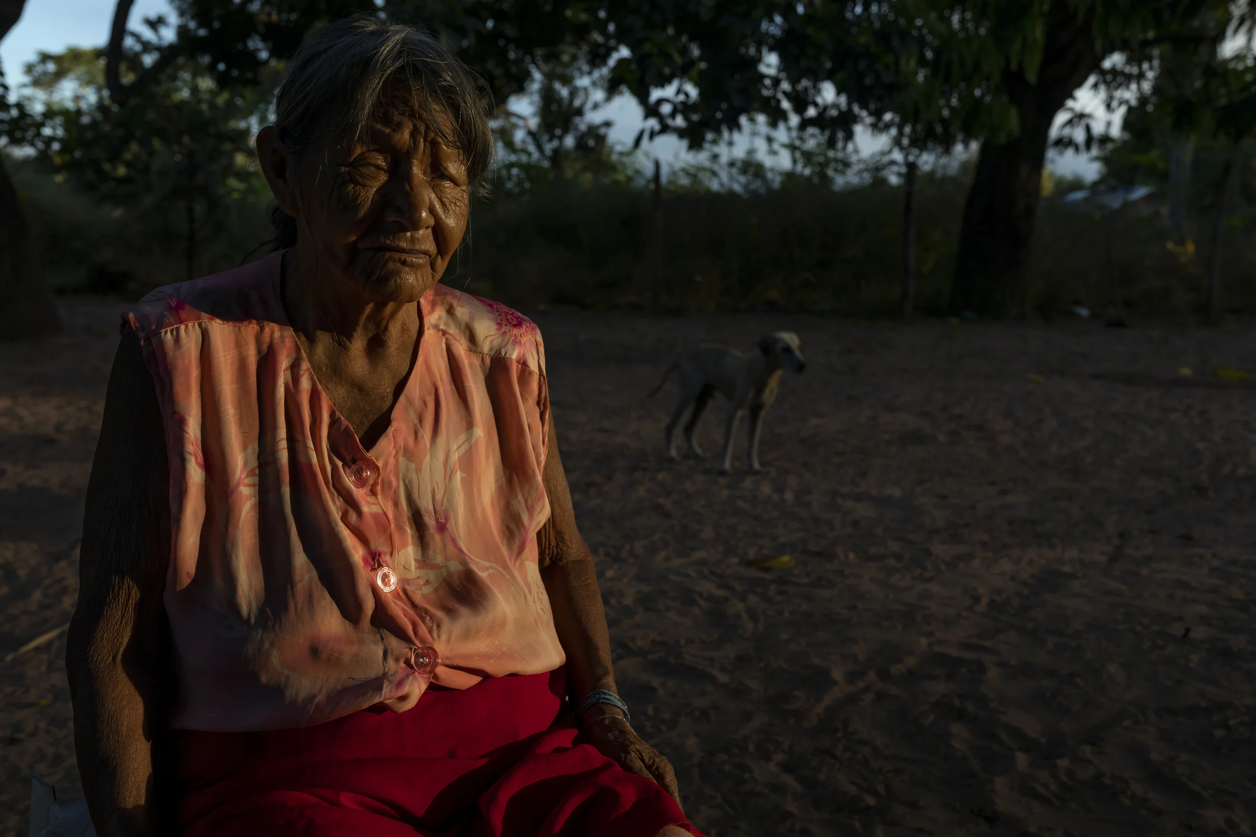 MARANHAO, BRAZIL, JUNE 2018: A blind woman sits in the early morning light in a scene from the village of Governador, the central village in the tribal area for Gaviao Indigenous people. TI Governador is the ancestral territory of the Gavião people; it encompasses 42,000 hectares of Amazon forest. Governador has been noticeably affected by deforestation, with whole areas razed of trees, dry riverbeds and frequent forest fires. People in this village say that the old days were better, their forests held more animals for hunting, more fruit and there were no problems with loggers illegally cutting their timber.
This village was running a regular forest guardian patrol but funding for indigenous NGO’s has dried up and at this time there are no patrols due to that lack of funding. 3 years ago this village confiscated logging vehicles by force which led to a confrontation with the loggers. The village was abandoned by the military police, who were supposed to protect them from the illegal loggers. The military police only returned a week later during which time the village had to defend themselves. Environmental defenders in Governador have been subjected to threats, death threats, intimidation, assault and armed attacks. Defenders reported receiving threatening anonymous calls usually after seizing a truck during one of the patrols; sometimes the callers would also issue death threats towards the defender or towards their whole village. Loggers residing in the neighboring town have intimidated and physically assaulted at least 2 indigenous leaders when they traveled to town. In one instance loggers intimidated shop owners in town so they wouldn’t sell gas to indigenous people for two weeks. To date, there seem to have been no killings of Gavião environmental defenders in retaliation for their activism.
Gavião people are ambivalent about the role of the State. Several environmental defenders have worked or continue to work with Funai, the specialised governmental