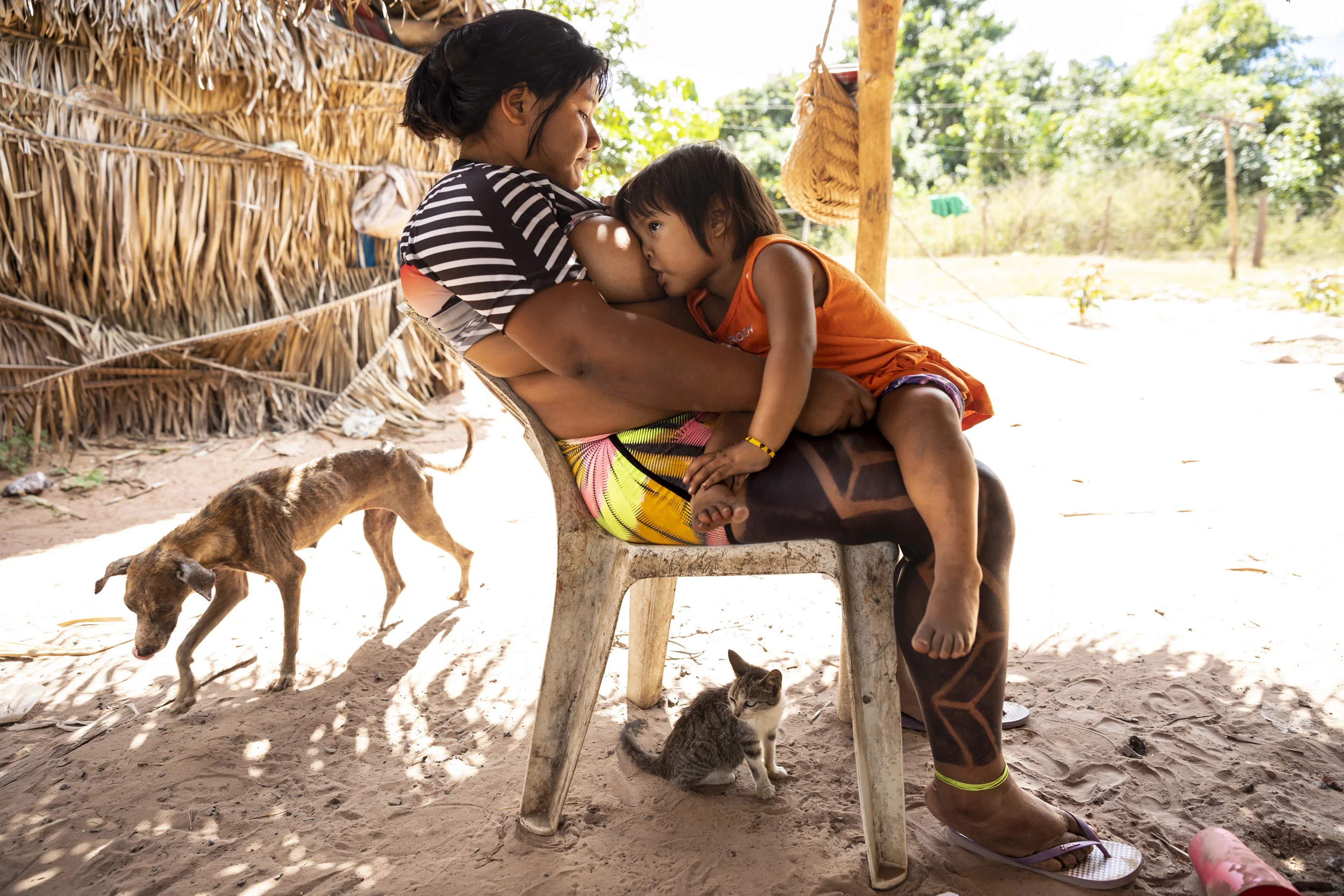 MARANHAO, BRAZIL, JUNE 2018: Scenes from the village of Governador, the central village in the tribal area for Gaviao Indigenous people. TI Governador is the ancestral territory of the Gavião people; it encompasses 42,000 hectares of Amazon forest. Governador has been noticeably affected by deforestation, with whole areas razed of trees, dry riverbeds and frequent forest fires. People in this village say that the old days were better, their forests held more animals for hunting, more fruit and there were no problems with loggers illegally cutting their timber.
This village was running a regular forest guardian patrol but funding for indigenous NGO’s has dried up and at this time there are no patrols due to that lack of funding. 3 years ago this village confiscated logging vehicles by force which led to a confrontation with the loggers. The village was abandoned by the military police, who were supposed to protect them from the illegal loggers. The military police only returned a week later during which time the village had to defend themselves. Environmental defenders in Governador have been subjected to threats, death threats, intimidation, assault and armed attacks. Defenders reported receiving threatening anonymous calls usually after seizing a truck during one of the patrols; sometimes the callers would also issue death threats towards the defender or towards their whole village. Loggers residing in the neighboring town have intimidated and physically assaulted at least 2 indigenous leaders when they traveled to town. In one instance loggers intimidated shop owners in town so they wouldn’t sell gas to indigenous people for two weeks. To date, there seem to have been no killings of Gavião environmental defenders in retaliation for their activism.
Gavião people are ambivalent about the role of the State. Several environmental defenders have worked or continue to work with Funai, the specialised governmental agency for indigenous issues. They know well the