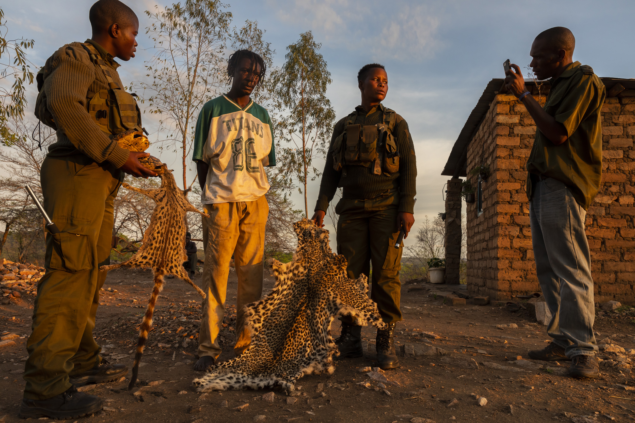 MAKUTI, ZIMBABWE, DECEMBER 2018: Members of the all- female conservation ranger force known as “Akashinga” arrest a notorious wildlife poacher after discovering leopard skins and other animals parts in his home. They are seen taking video testimony