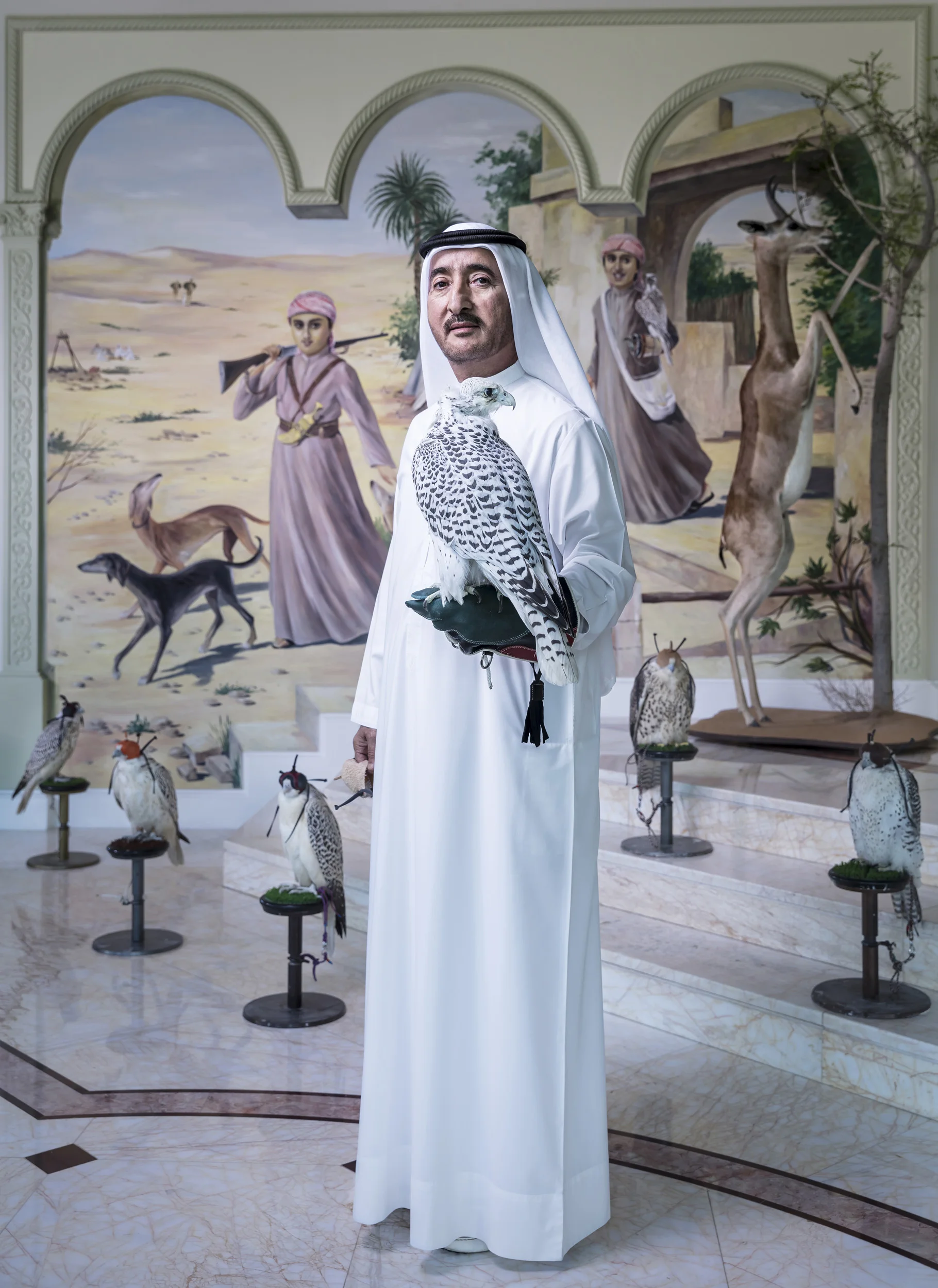 DUBAI, UAE, SEPTEMBER 24, 2017: Sheikh Butti Maktoum Bin Juma, a senior member of the Dubai Royal family, is seen inside the foyer of his home in Dubai. He is holding his favourite Gyr Falcon and is surrounded by other high end falcons that were bred especially for him. The mural behind him depicts his sons Rashid and Maktoum in the desert with falcons. Sheikh Butti is the first UAE falconer and likely the first Arab to ever train and hunt with a captive bred bird, a Gyr falcon that became famous across the region twenty years ago. He altered perception about what was possible with captive breeding and the performance of his falcons helped to win the argument for the superiority of captive-bred hybrids and purebred falcons. There has been a careful refining of genetics by master breeders like Howard Waller who have created a whole new class of falcons that have become the birds of choice in the Emirates. They are housed in special air-conditioned facilities where they can resist the high temperatures of the desert. Most training for hunts and racing is done in the very early morning, when temperatures are low and the birds won’t suffer heat exhaustion. The birds travel in air-conditioned vehicles with special perches to and from the training grounds. The higher echelons of the UAE falconers literally spend millions of dollars on housing, training and caring for their falcons. There are a number of falcon hospitals across the UAE that cater exclusively to the welfare of these birds. Expert international veterinarians staff these hospitals and birds are cared for at the same level as people. Falcons were severely threatened 50 years ago by the advent of chemicals like DDT, the Arab world has been at the forefront of restoring falcon populations and it is the Arab world that is the epicenter for breeding and the largest client for these birds. This resurgence has elevated Falconry to Intangible Heritage status by Unesco. (Photo by Brent Stirton/Verbatim for National
