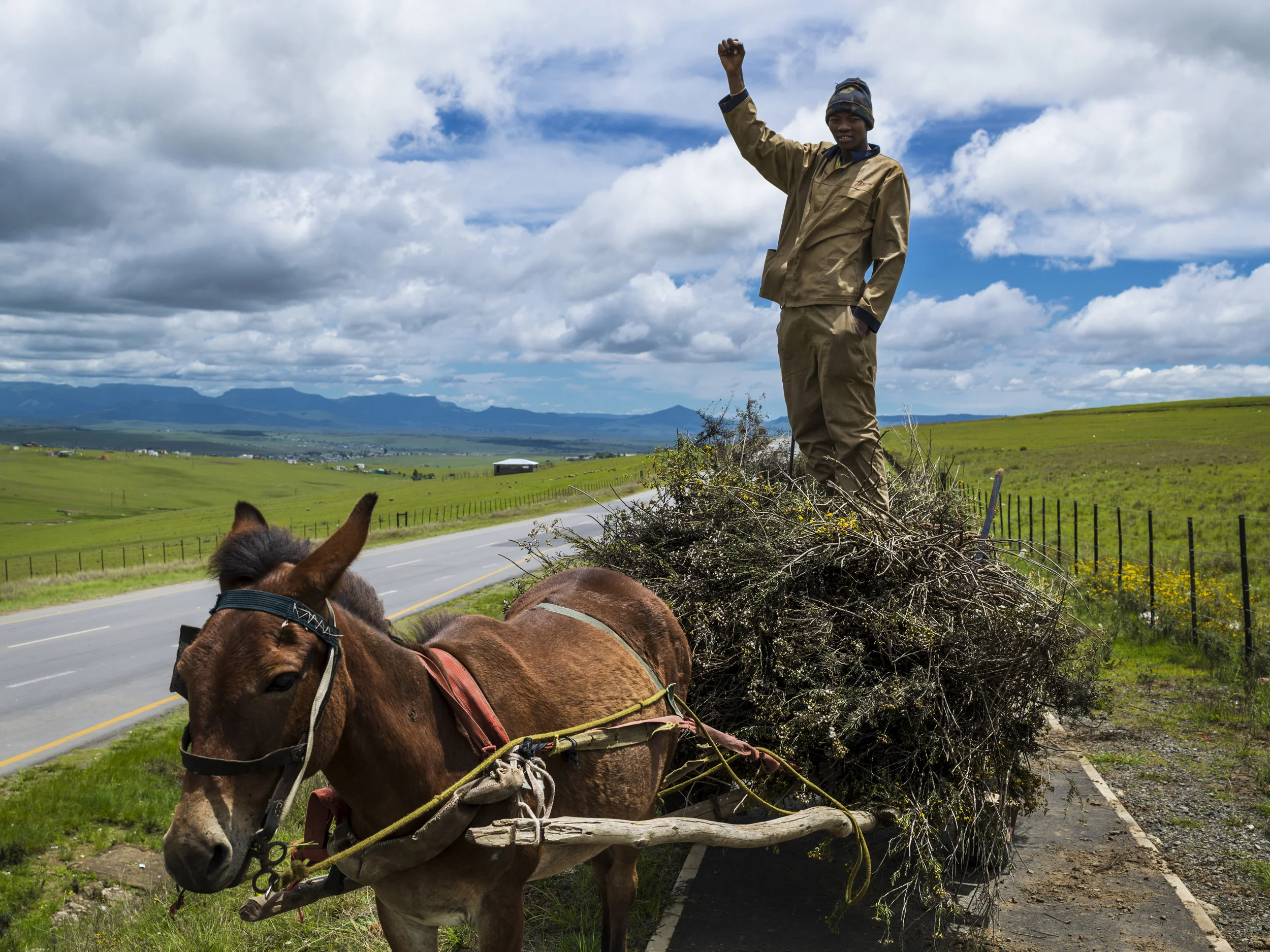 QUNU, EASTERN CAPE, SOUTH AFRICA, 14 DECEMBER 2013: A man collecting firewood with his donkey stands and gives the ANC salute as he waits for the Nelson Mandela funeral procession to pass, Qunu, South Africa, 14 December 2014. An icon of democracy, Mandela was buried at his family home in Qunu after passing away on the 5th December 2013. (Photo by Brent Stirton/Reportage by Getty Images.)