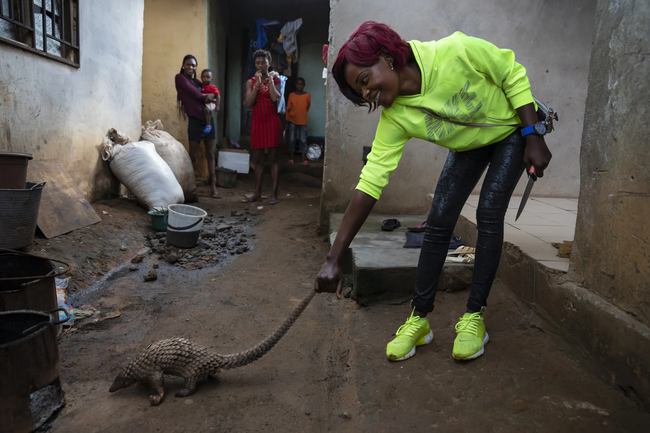 CAMEROON, 12 AUGUST 2018: A young woman who works as a street food trader in a small town 60 miles from Yaonde is seen with a juvenile pangolin which she has purchased from a middleman for $14 who got the pangolin from bushmeat hunters. She is seen with the pangolin at her stall shortly after acquiring the live animal. She then took the animal home and slaughtered it, removing the scales and disecting the body. She says she has been selling scaels for about a year but has been selling pangolin meat for at least 10 years. She adds that it is becoming rarer to find and more expensive. At this time, this is still a legal practise in Cameroon. (Photo by Brent Stirton/Getty Images for National Geographic Magazine.)