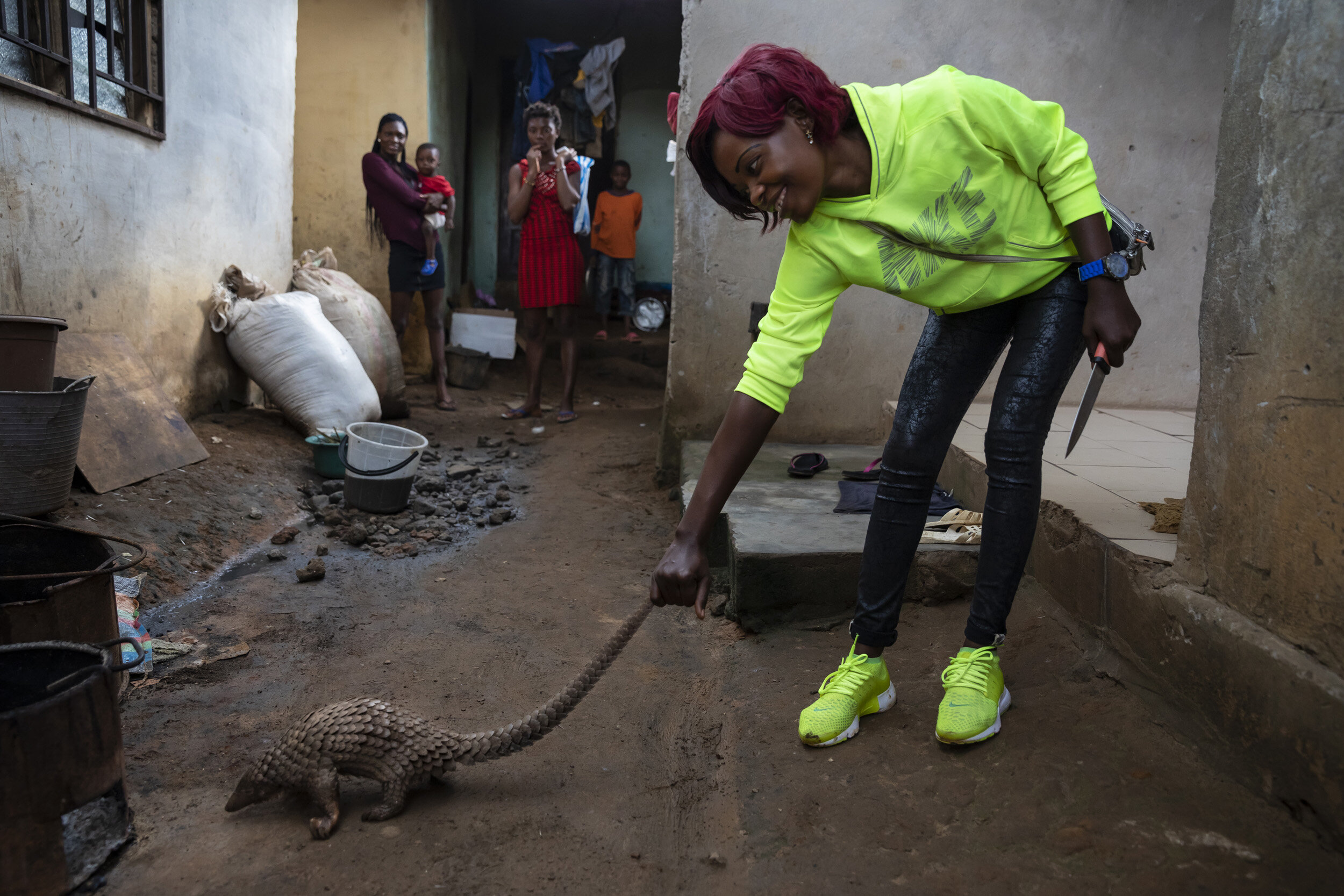 CAMEROON, 12 AUGUST 2018: A young woman who works as a street food trader in a small town 60 miles from Yaonde is seen with a juvenile pangolin which she has purchased from a middleman for $14 who got the pangolin from bushmeat hunters. She is seen