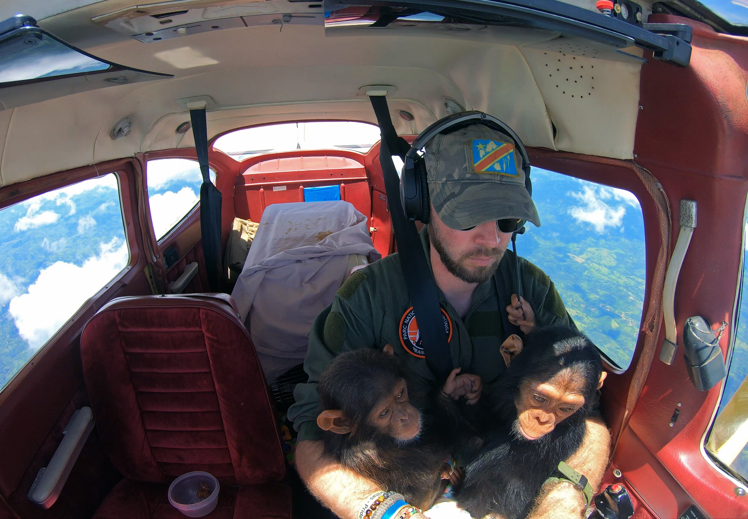 Democratic Republic of Congo, Bukavu: Virunga National Park pilot Anthony Caere flies two rescued baby chimps to Lwiro Primates Rehabilitation center. These babies are survivors of the illegal bushmeat trade and were rescued by conservation forces.