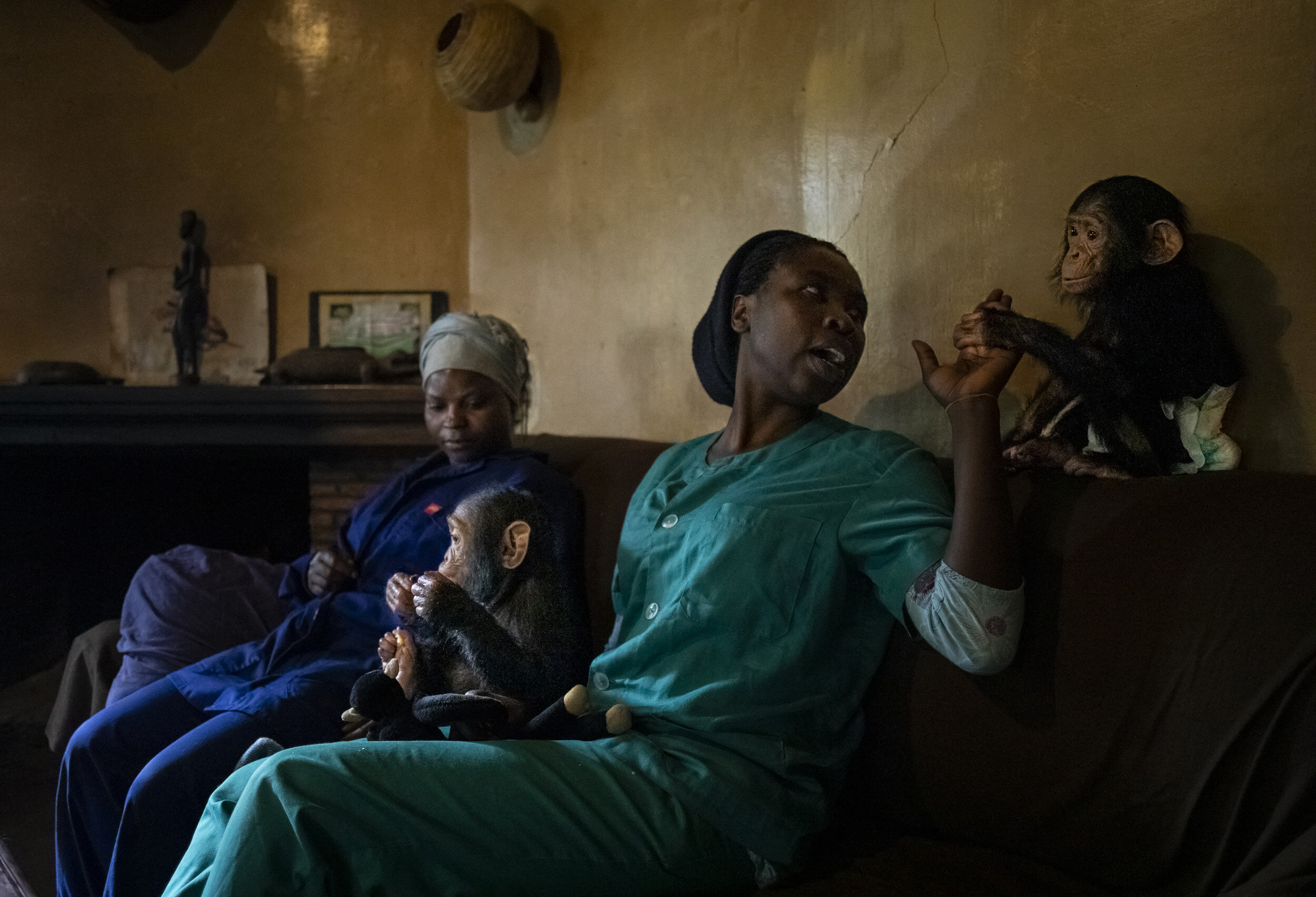 LWIRO, EASTERN DEMOCRATIC REPUBLIC OF CONGO, 26 NOVEMBER 2019: Nina Nturubika, 35, in green scrubs, is a Congolese vet working with the Lwiro Chimpanzee rescue center and sanctuary. Flores, in blue, is a recently employed care-giver who is learning