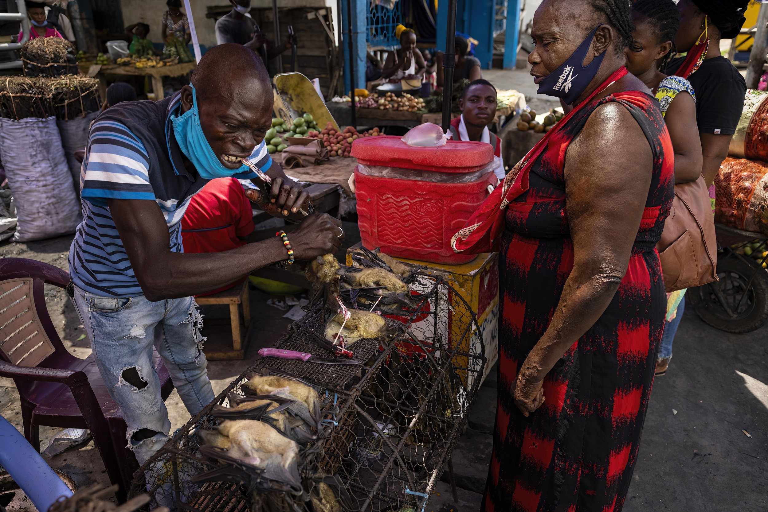 3. BRAZZAVILLE, REPUBLIC OF CONGO: A bat seller at the Total market in Brazzaville uses his teeth to remove the wing bones from a bat he has just killed. The bats are sold live and when the bat sellers prepare the bats for clients, they are often as