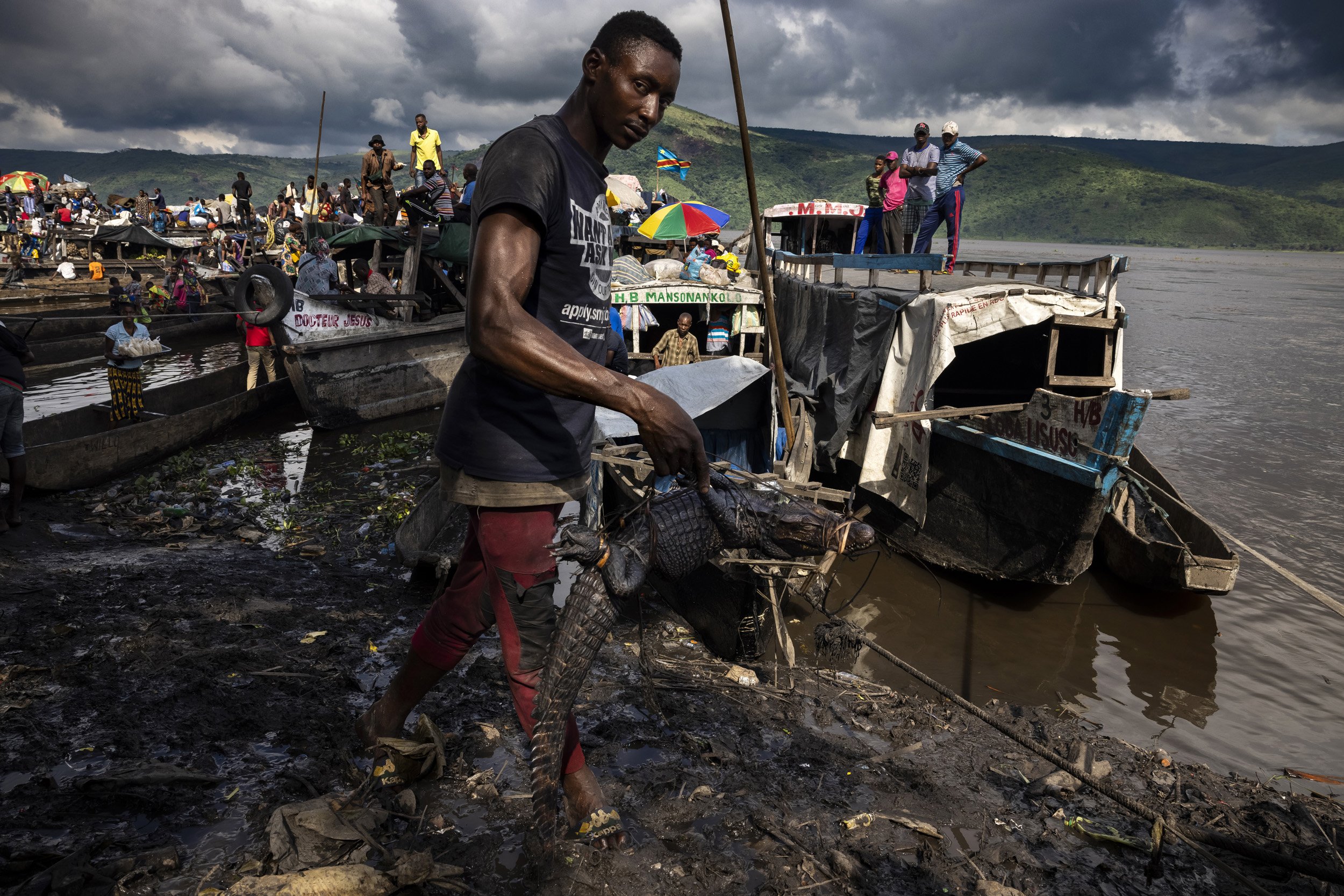 KINSHASA, DEMOCRATIC REPUBLIC OF CONGO: A man coming off a recently arrived boat carries an African dwarf crocodile through Maluku port. The overall population of this species in the wild varies from estimates of 25,000 to 100,000 individuals. On th