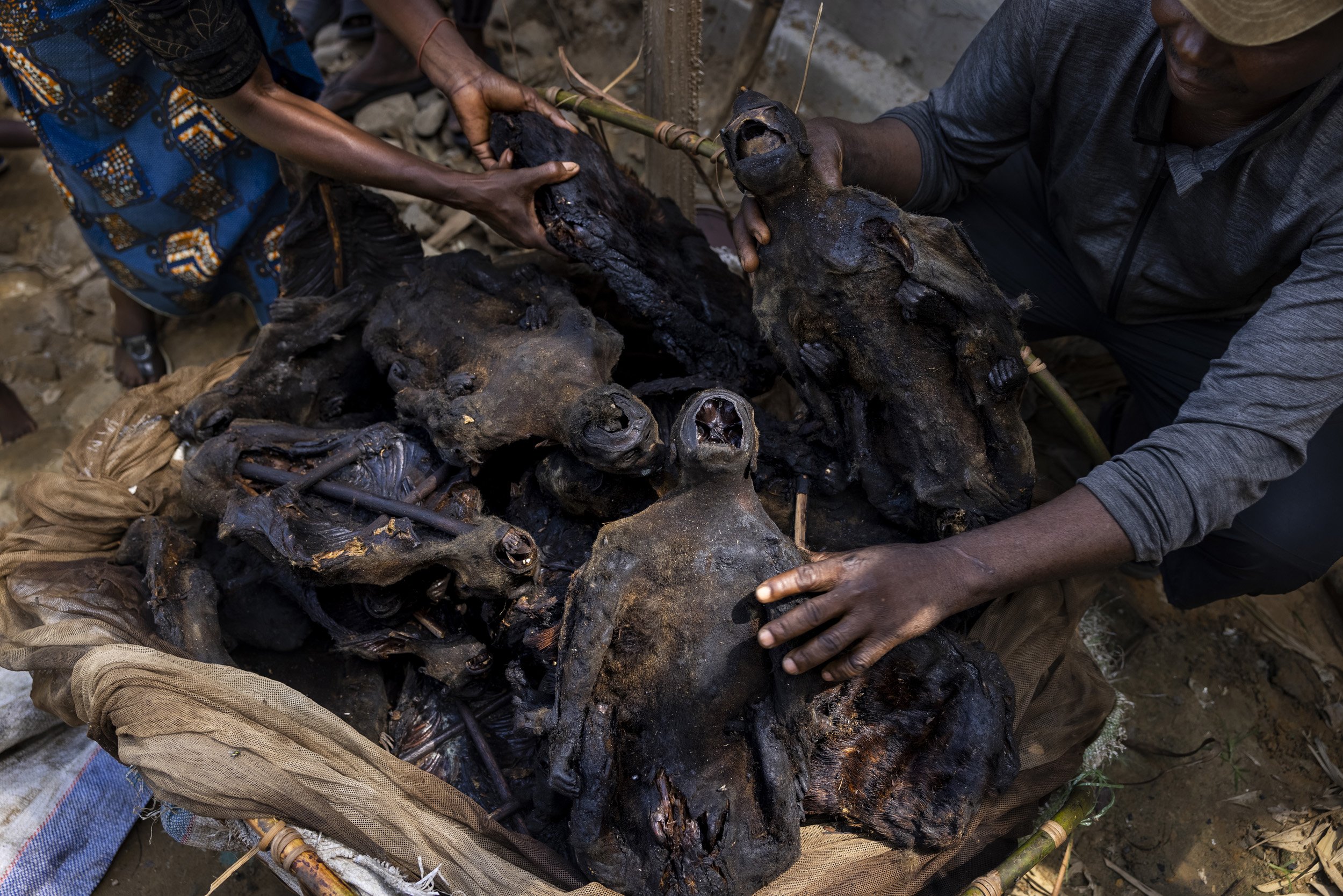 KINSHASA, DEMOCRATIC REPUBLIC OF CONGO: A man and his wife unpack sacks containing 84 monkeys that they have just unloaded from a boat in Maluku port. There are two different species in the bag. The couple say they have a shotgun with relatives in t