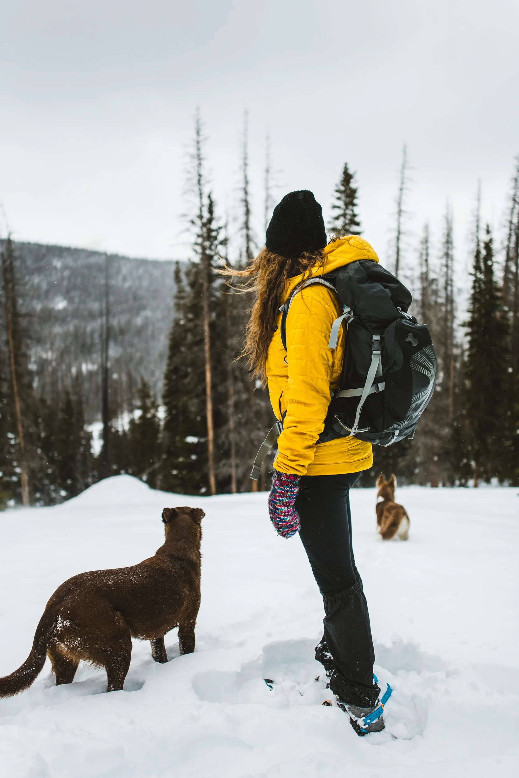 20160207.08 Snowshoe Zimmerman Lake.DSQL3407.jpg
