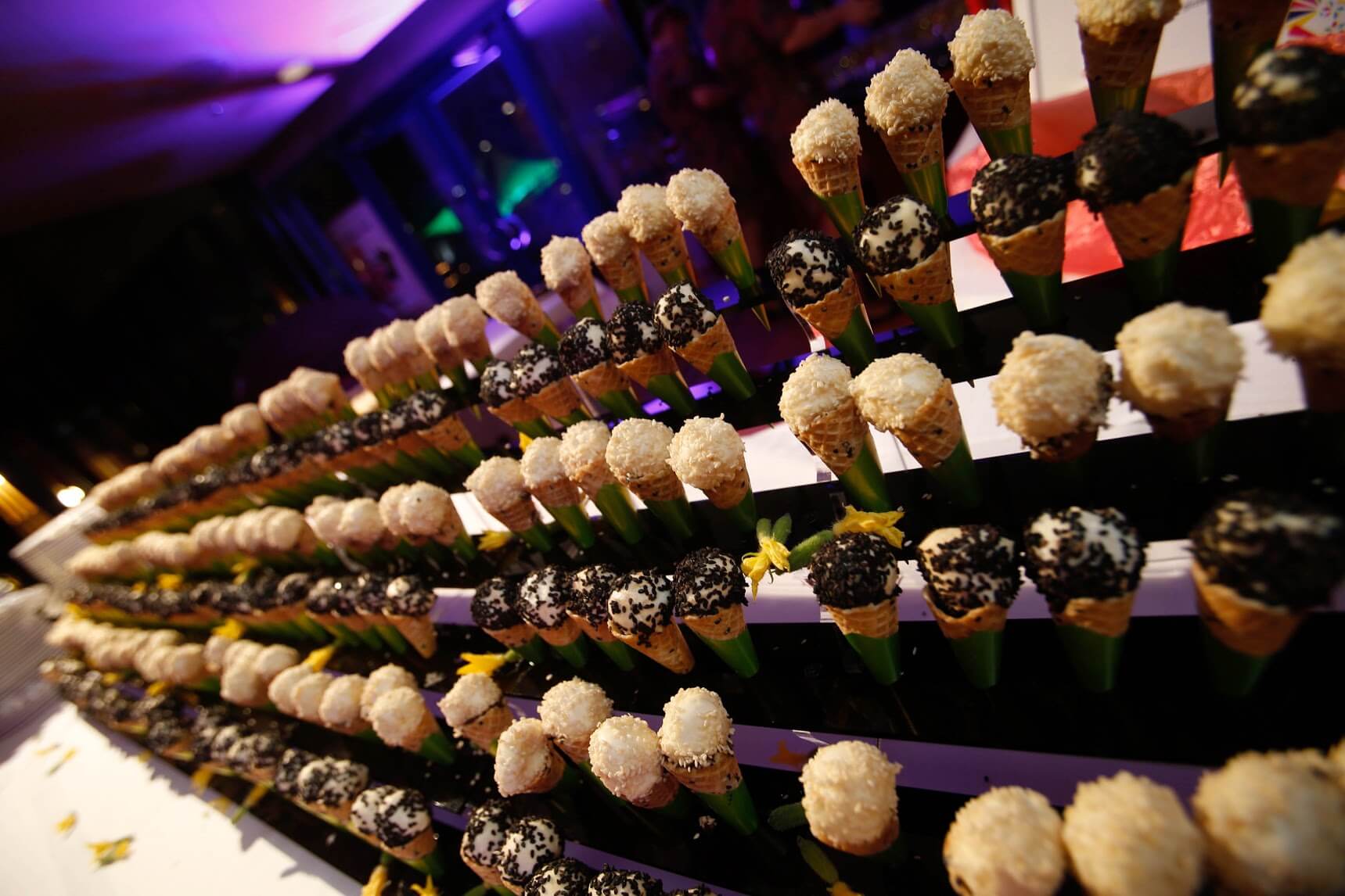 Lintsigaala 2015