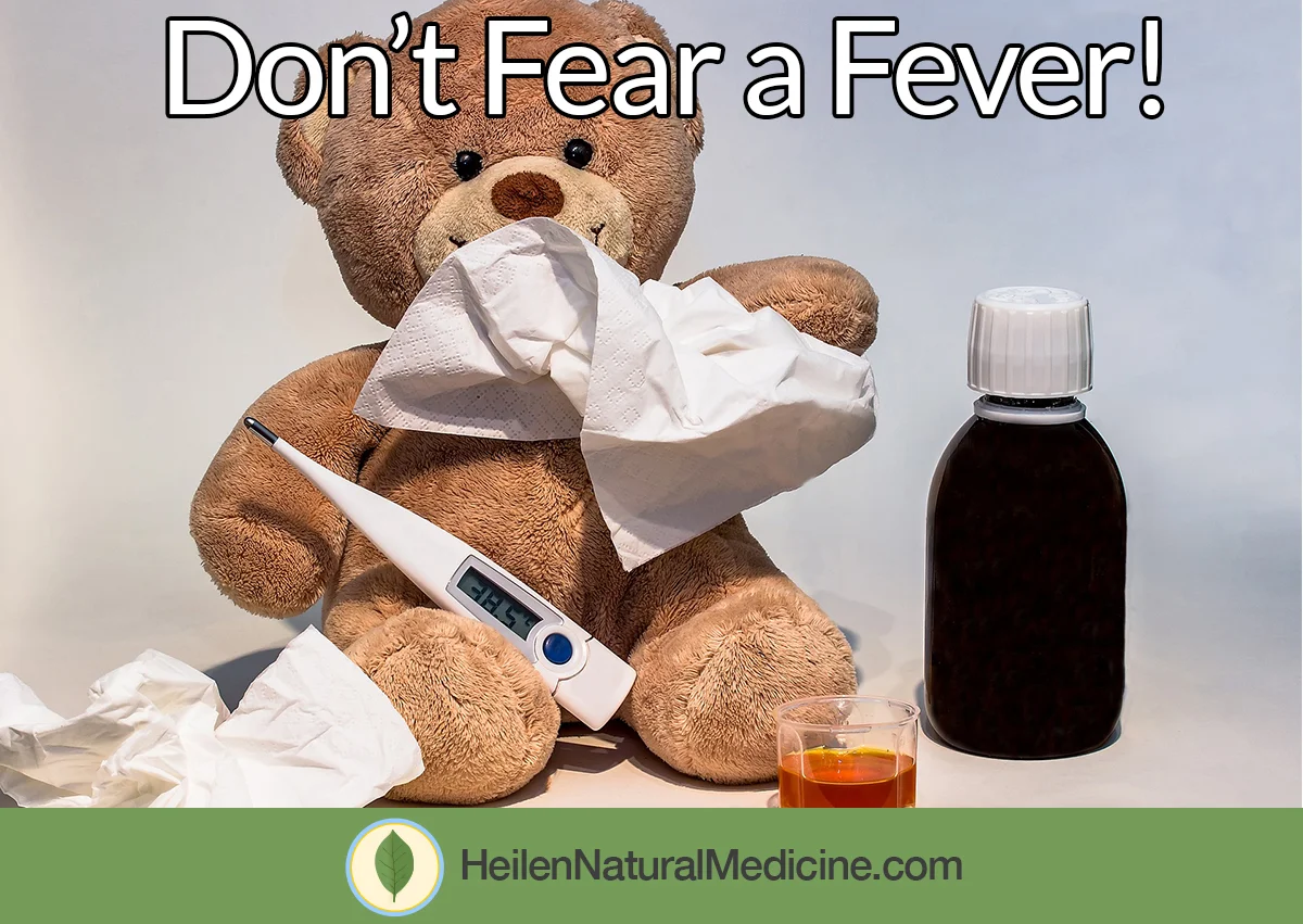 dont-fear-fever.jpg