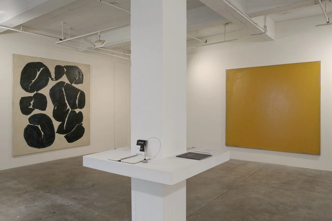 2014_EXHIBIT_DISCONNECTED_Installation4.jpg