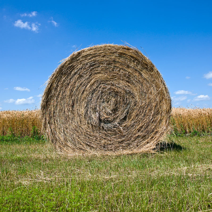  " Hay Bale, SD " 