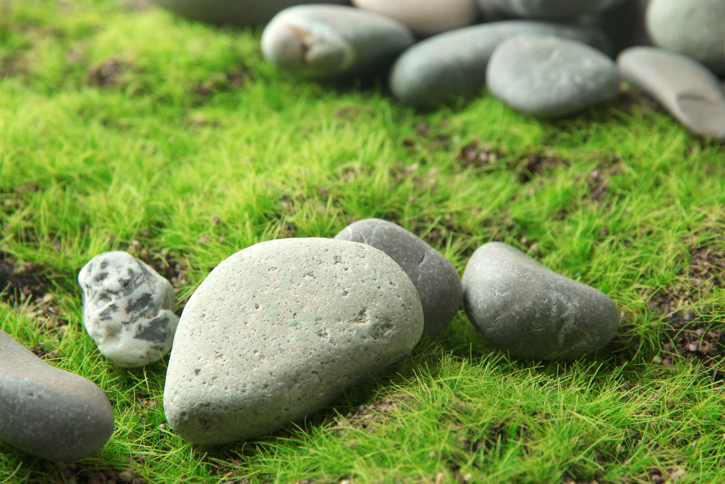 Emmanuel to Bóg z Nami - Mirosław Muszczyński