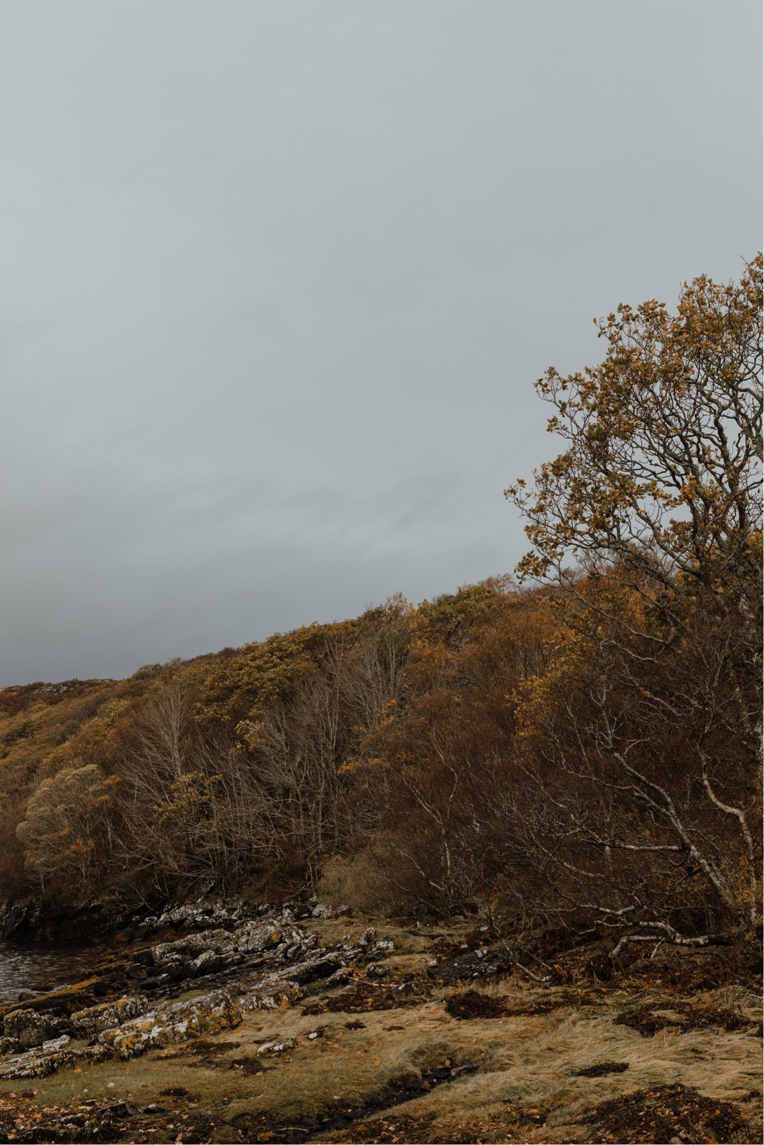 04_Shieldaig lodge elopement00005.jpg