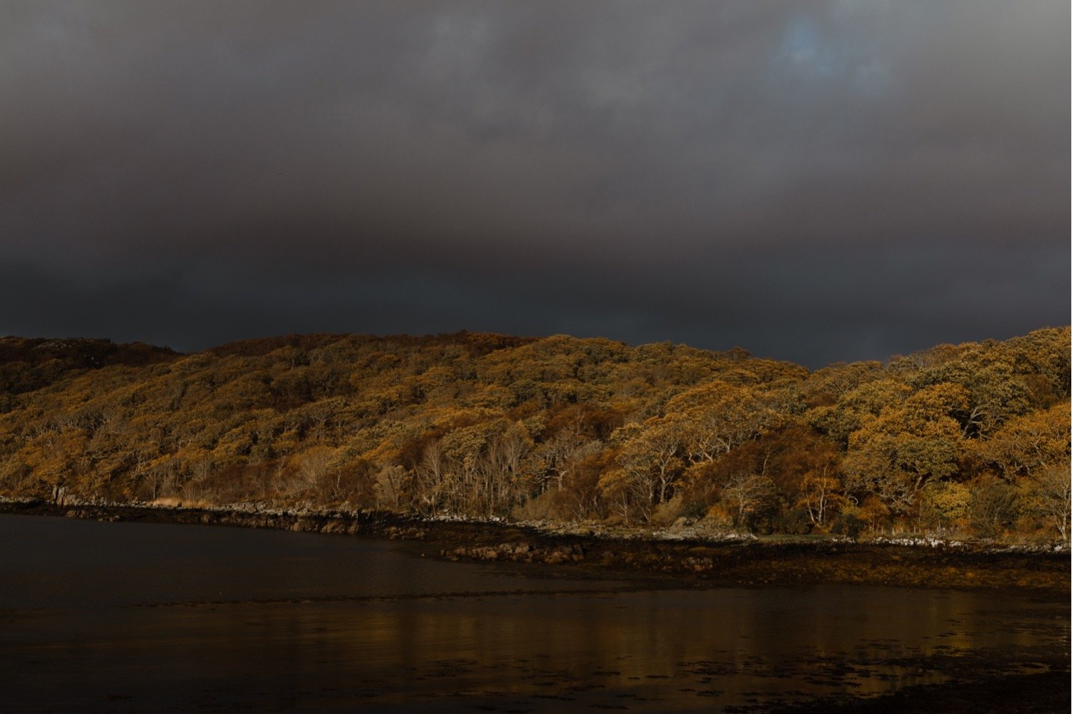 21_Shieldaig lodge elopement00033.jpg