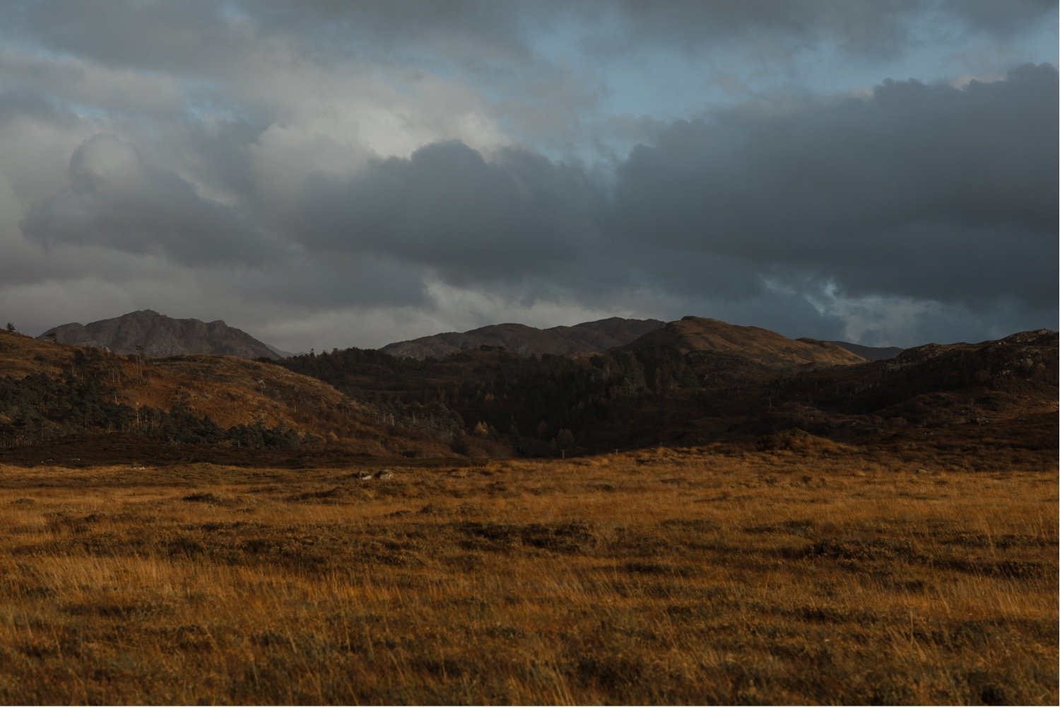 37_Shieldaig lodge elopement00045.jpg