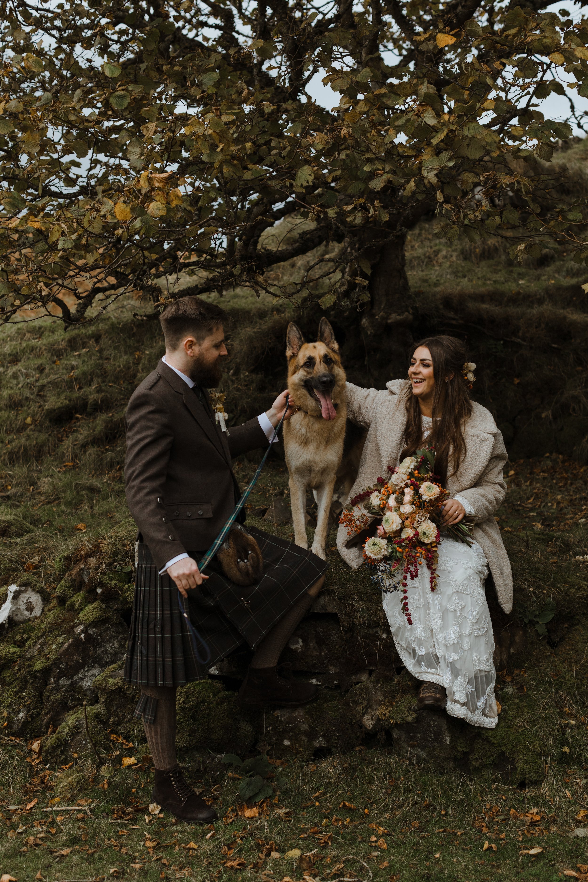 Wedding dog.jpg