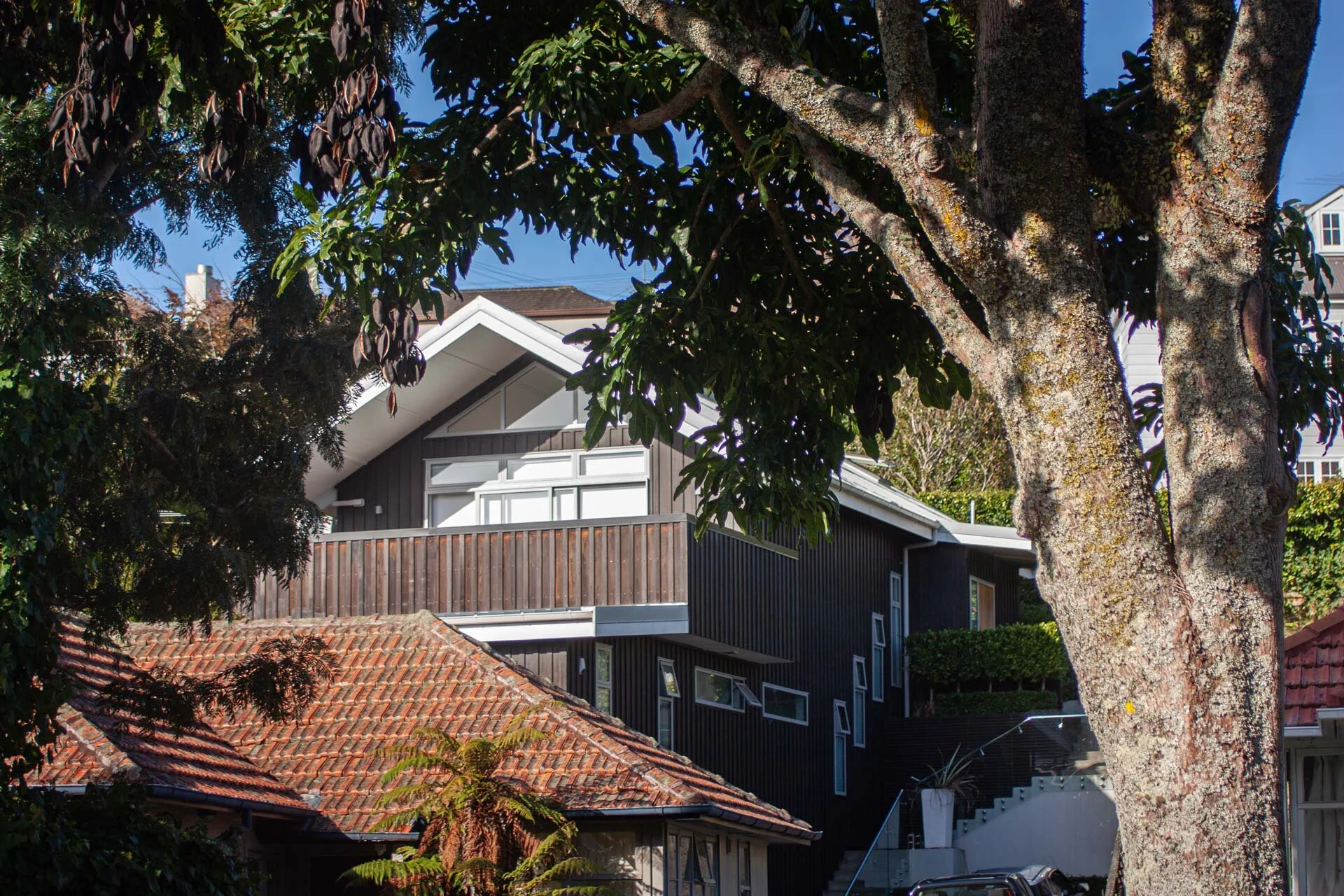 Mission Bay House
