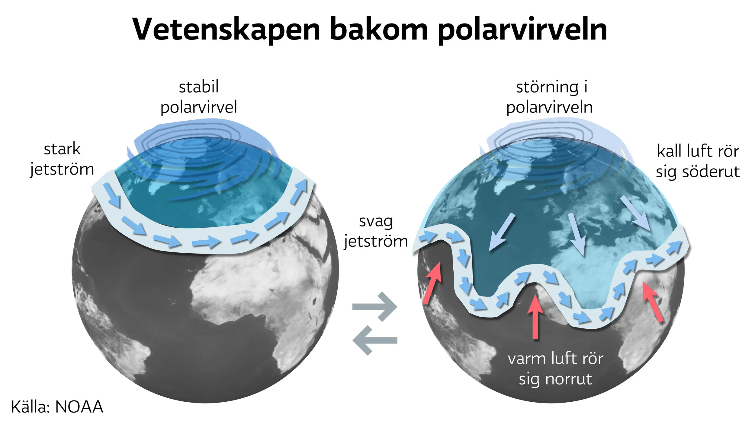 polar vortex WEB-01.jpg