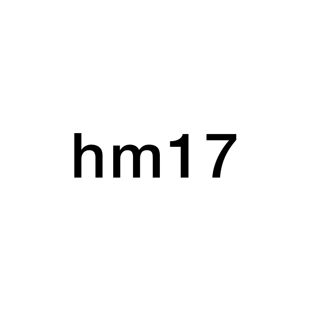 hm17.jpg
